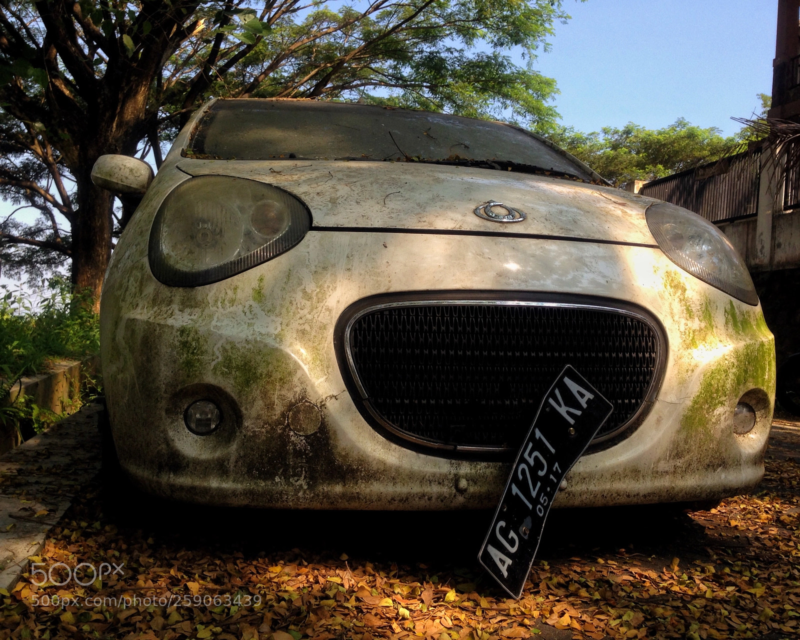 Apple iPhone 5 sample photo. Abandoned low cost green photography