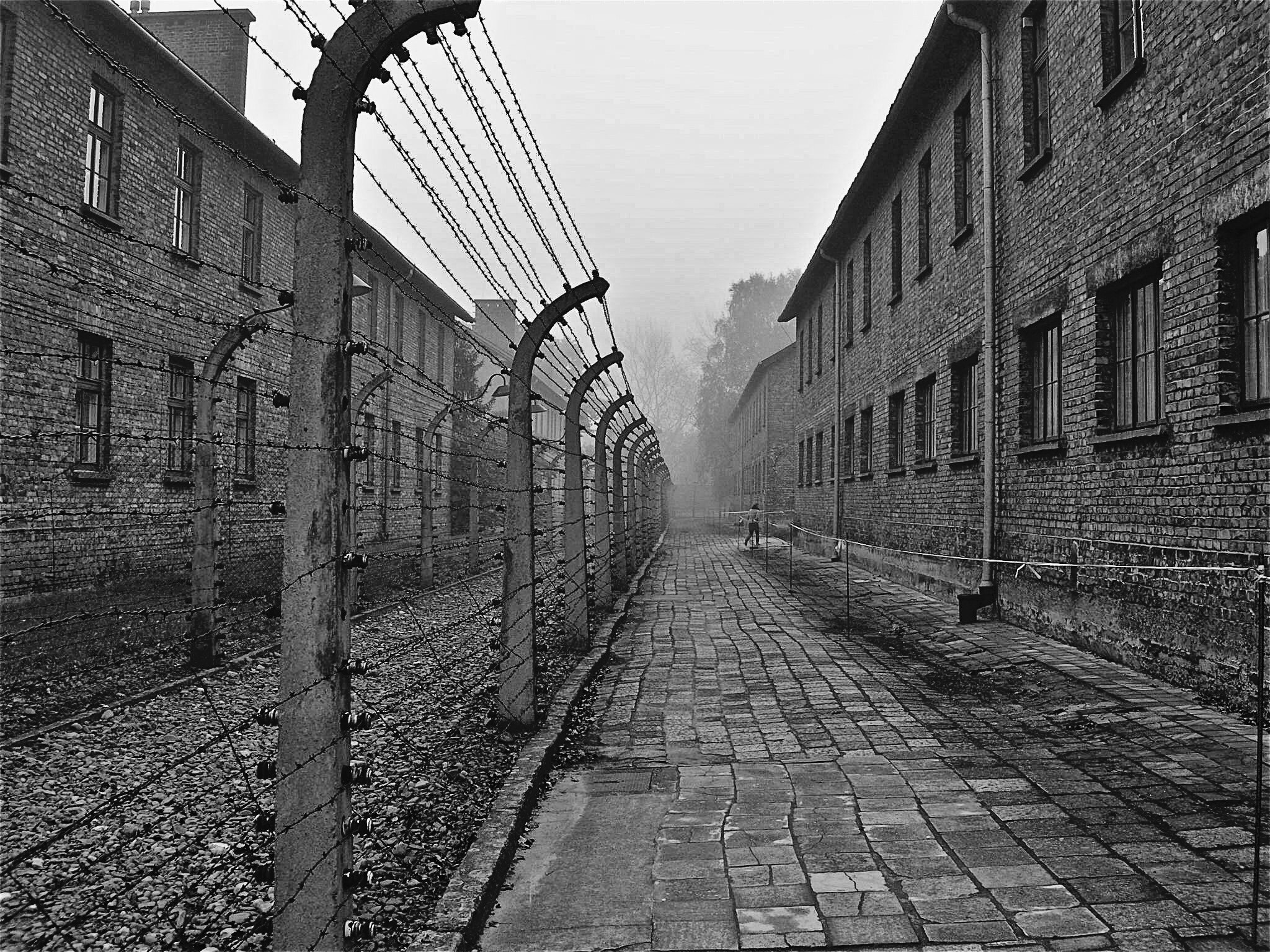 Nikon E7900 sample photo. Auschwitz b and w photography