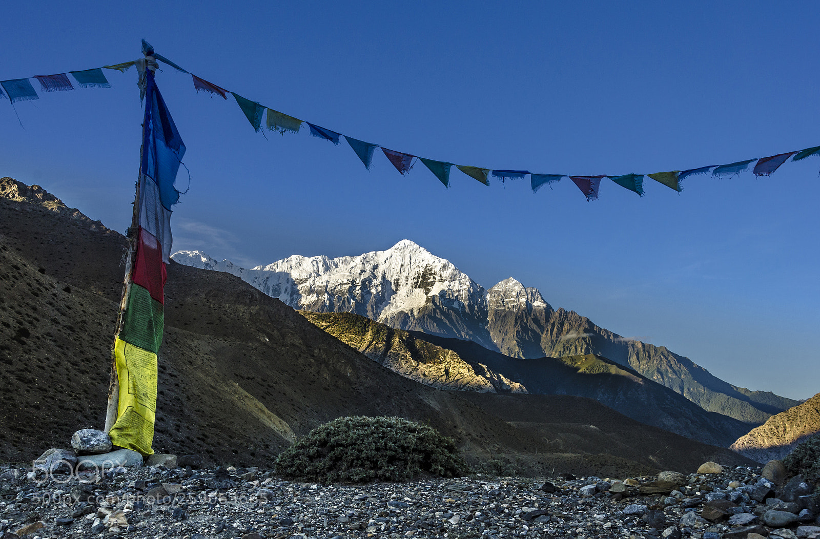 Nikon D7000 sample photo. Nilgiri himal framed with photography