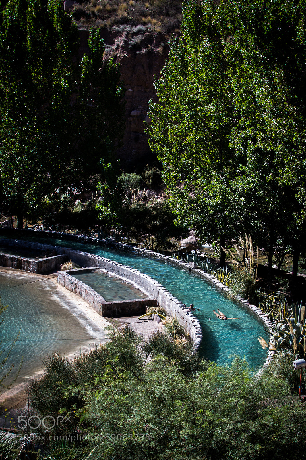 Nikon D3100 sample photo. Float away photography