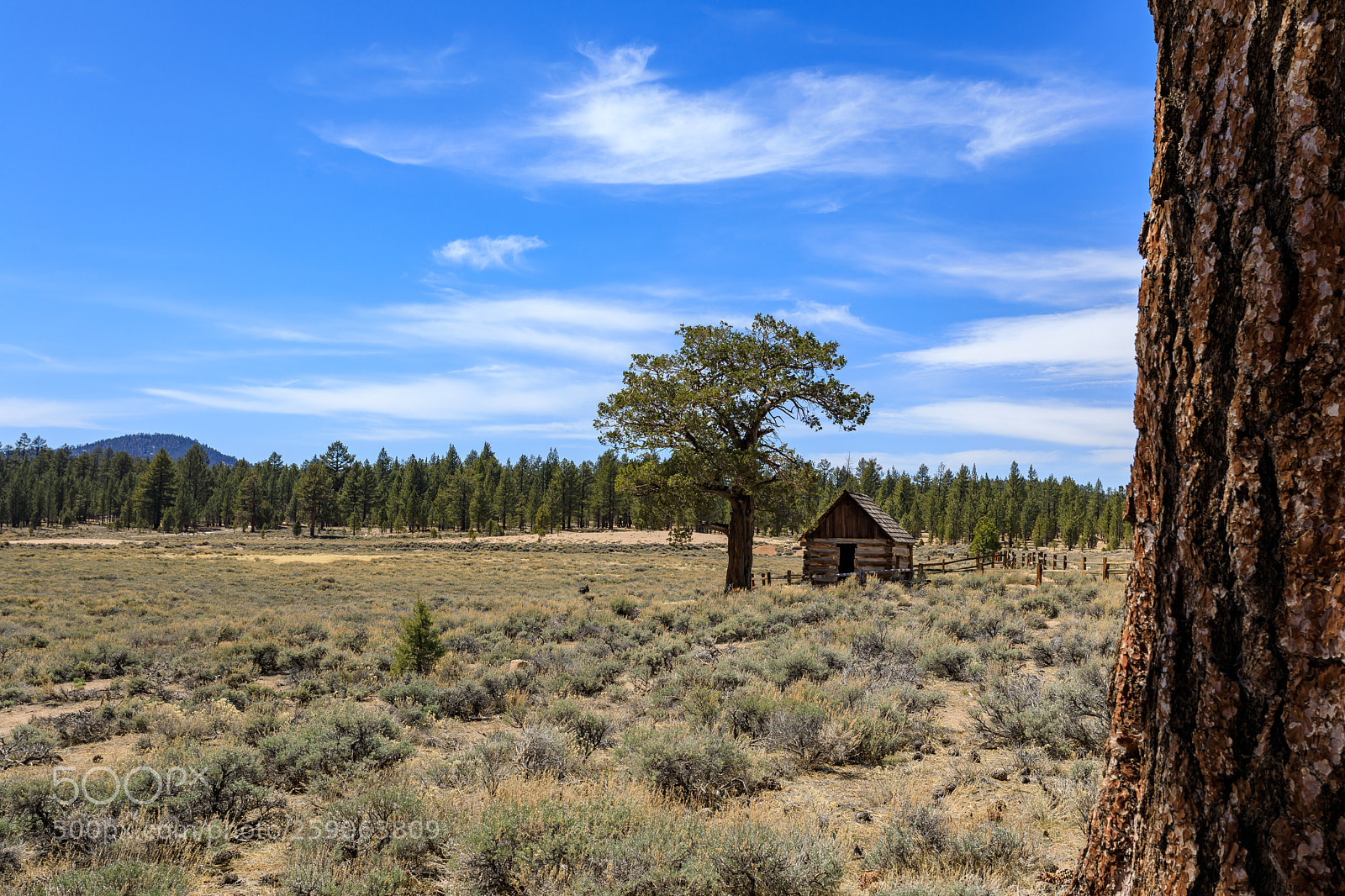 Canon EOS 5D Mark IV sample photo. Holcomb valley, ca 3428 photography
