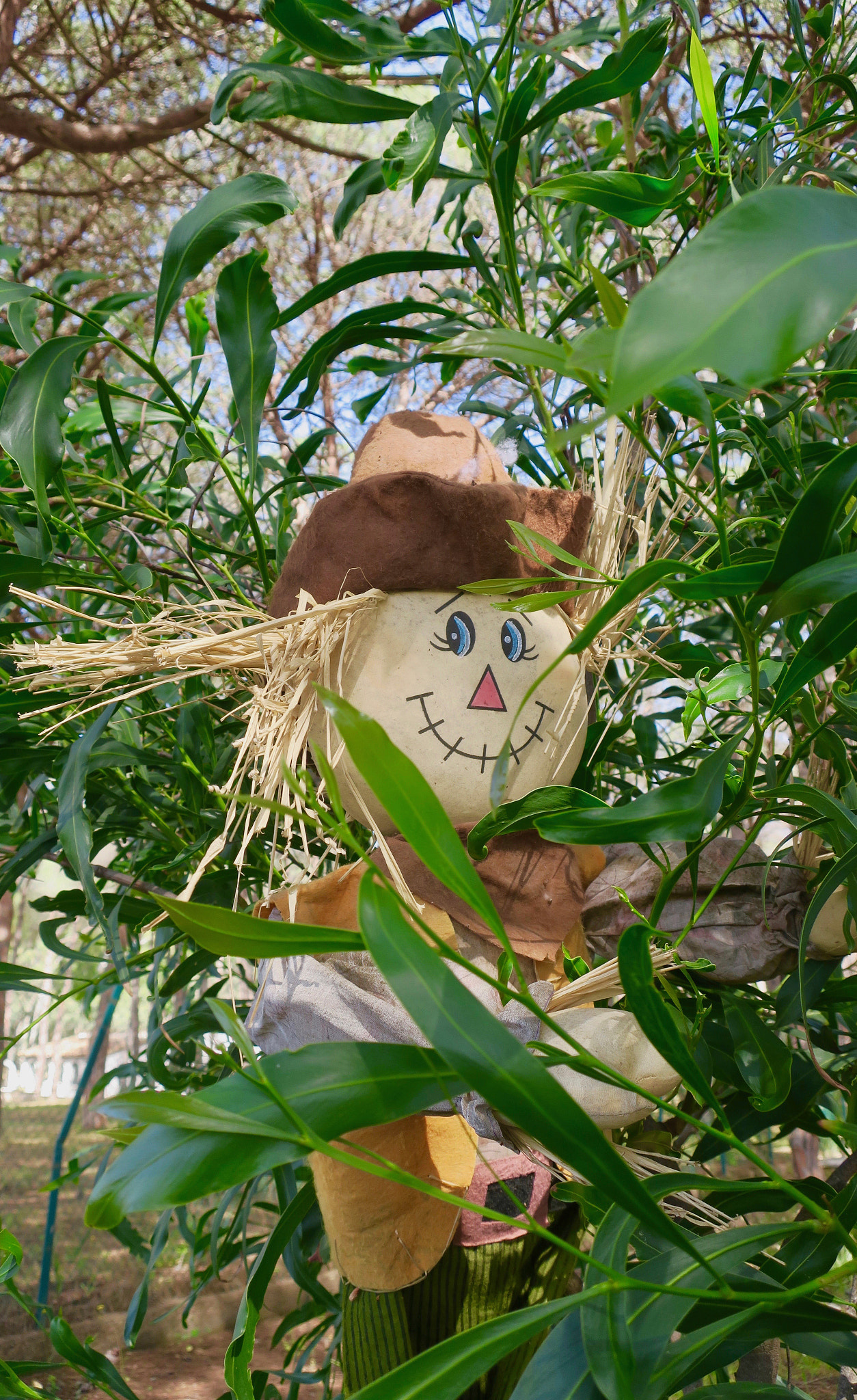 Canon PowerShot G9 X sample photo. Scarecrow photography