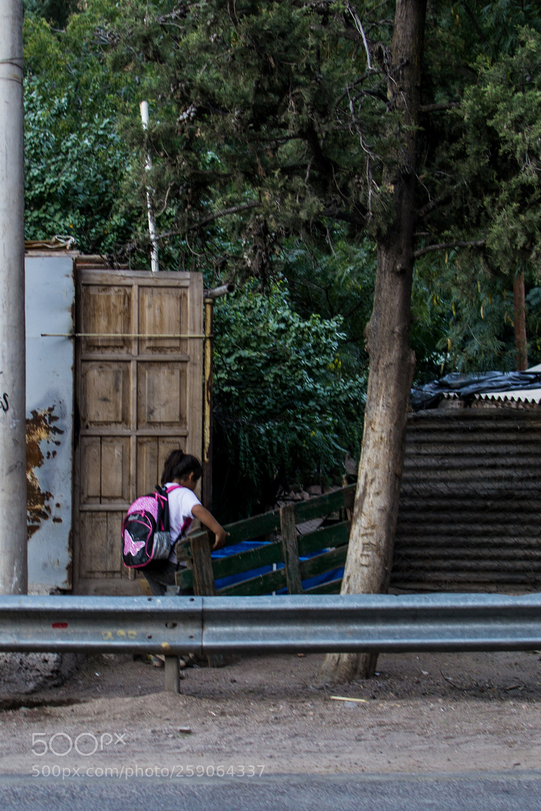 Nikon D3100 sample photo. Getting home from school photography