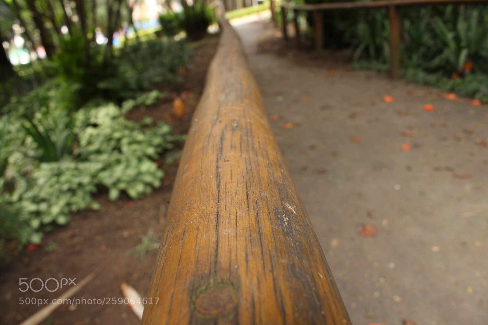 Canon EOS 700D (EOS Rebel T5i / EOS Kiss X7i) sample photo. Corrimão photography