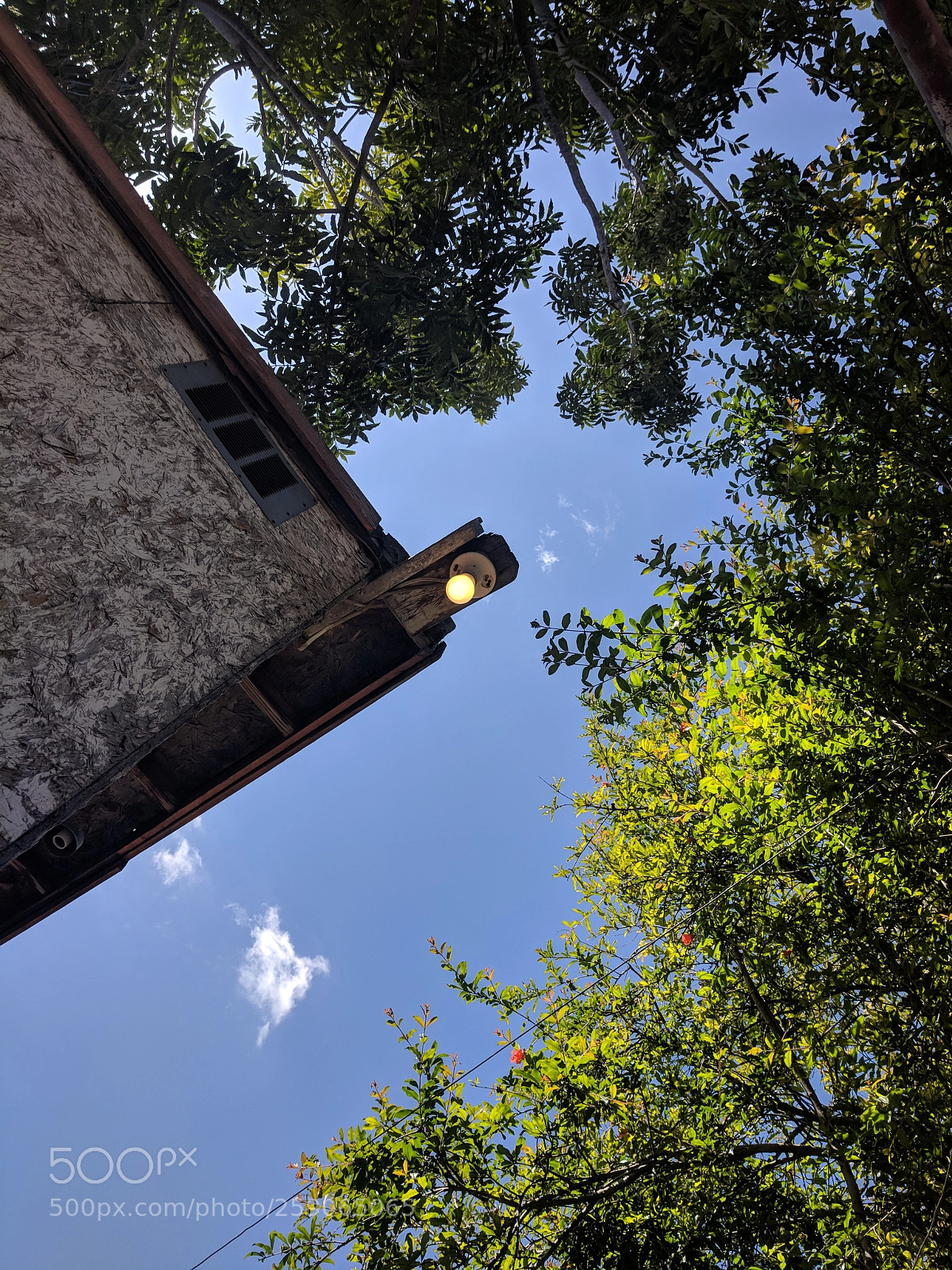 Google Pixel sample photo. Untitled photography