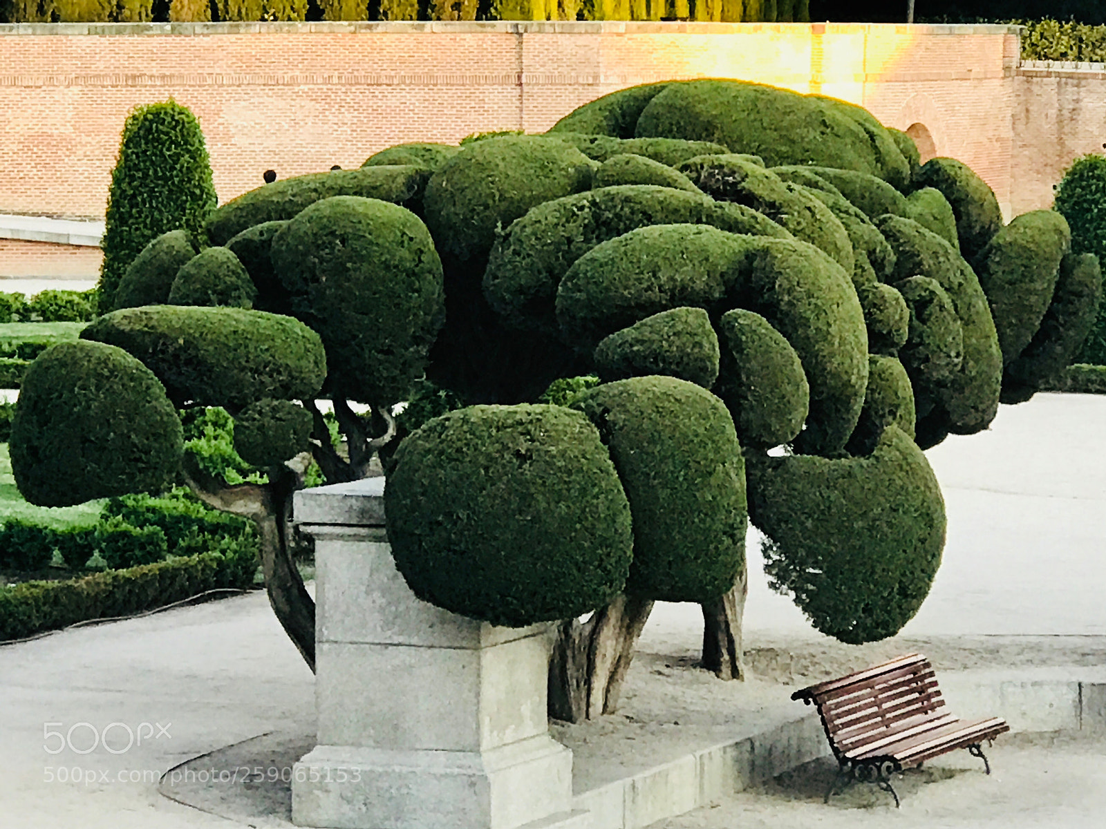 Apple iPhone 7 Plus sample photo. Untitled photography