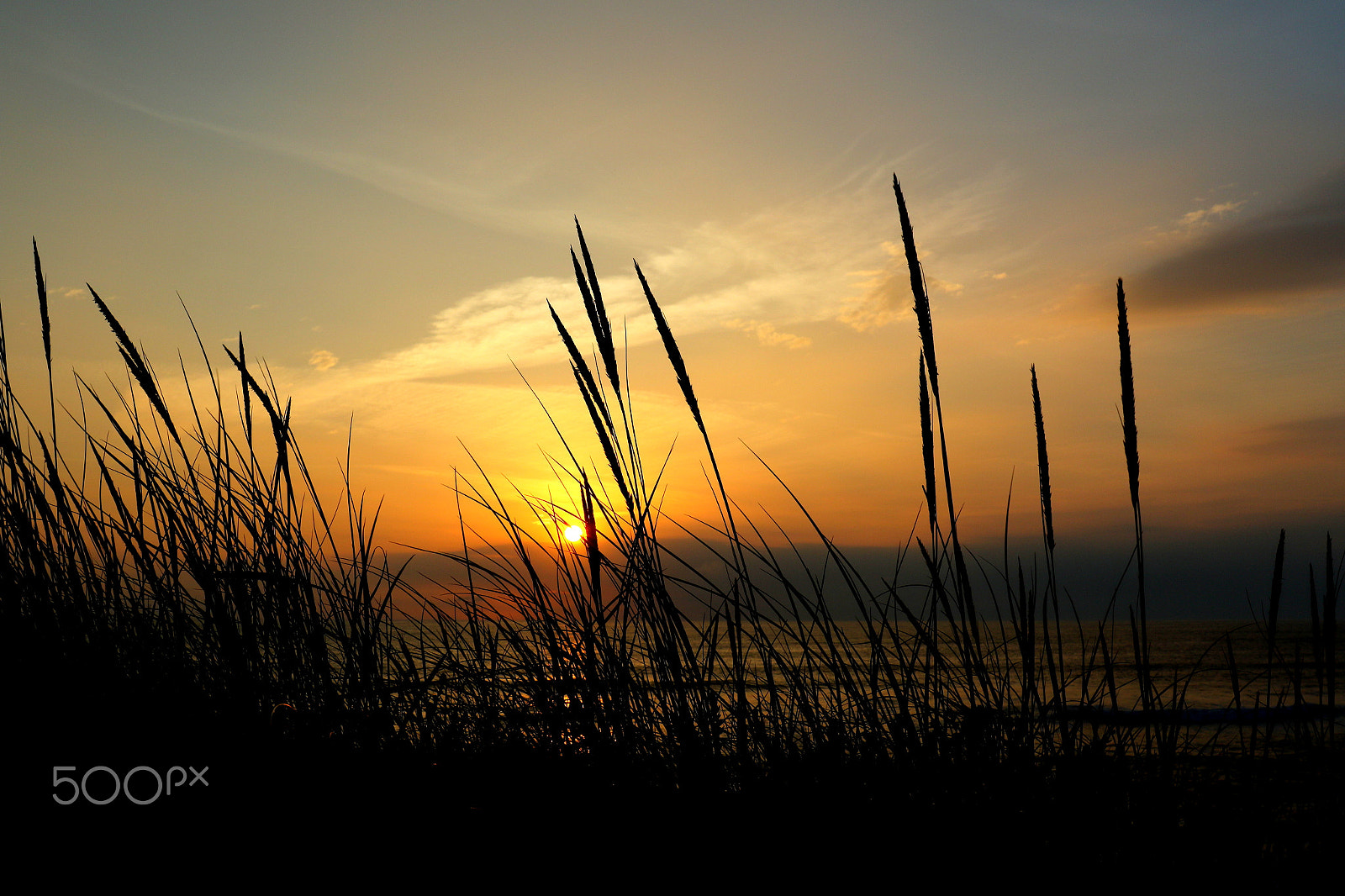Canon EF 24-70mm F4L IS USM sample photo. By sunset photography