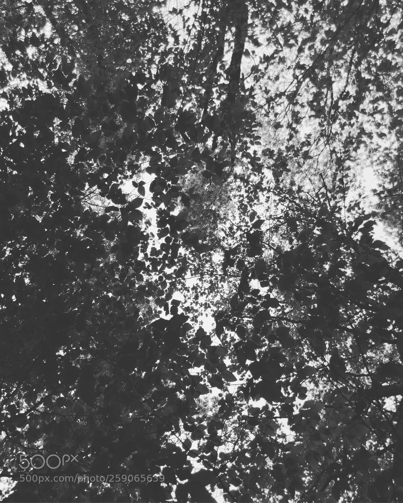 Apple iPod touch sample photo. Light patterns photography