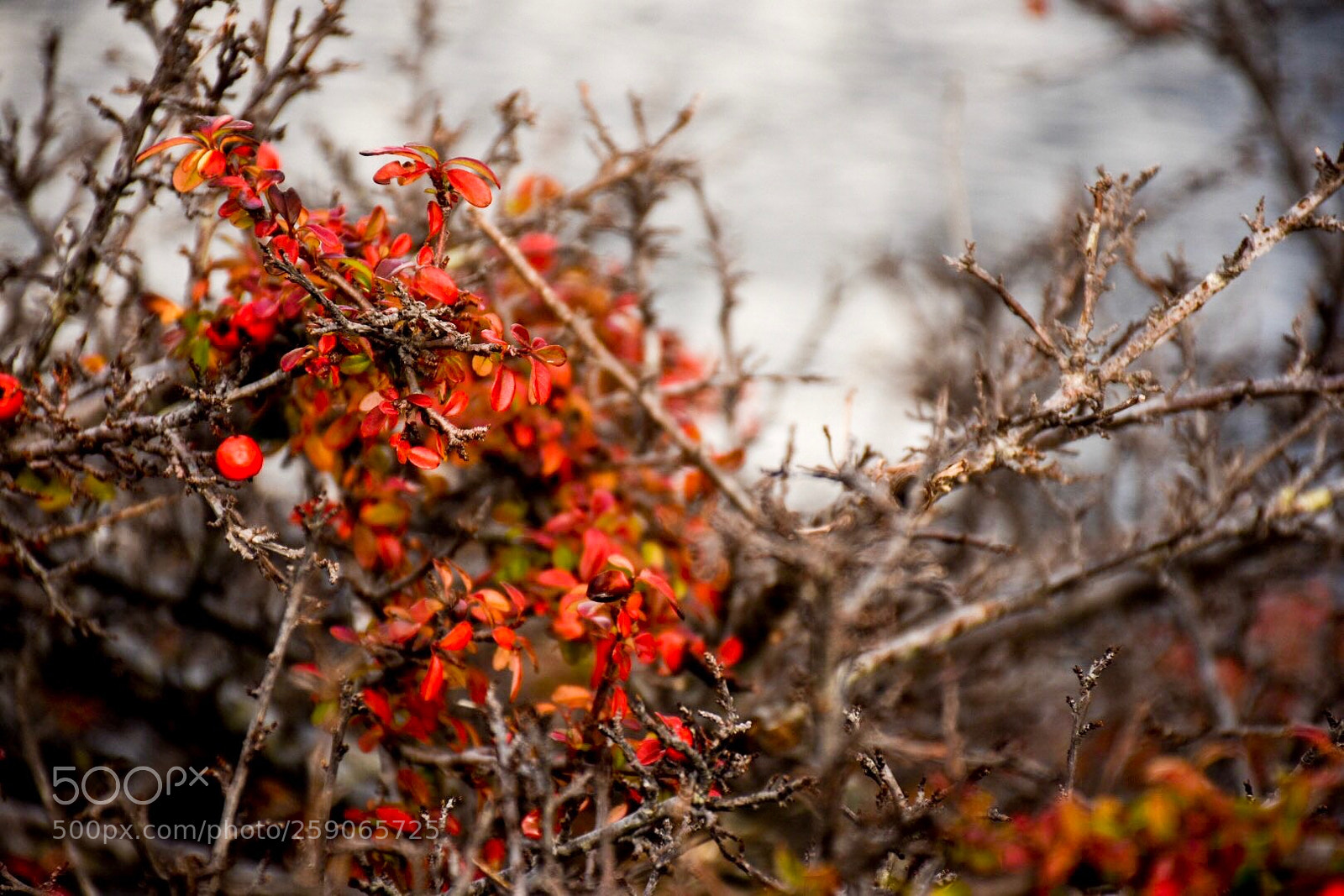 Nikon D7200 sample photo. Bcc dbabeab eaa photography