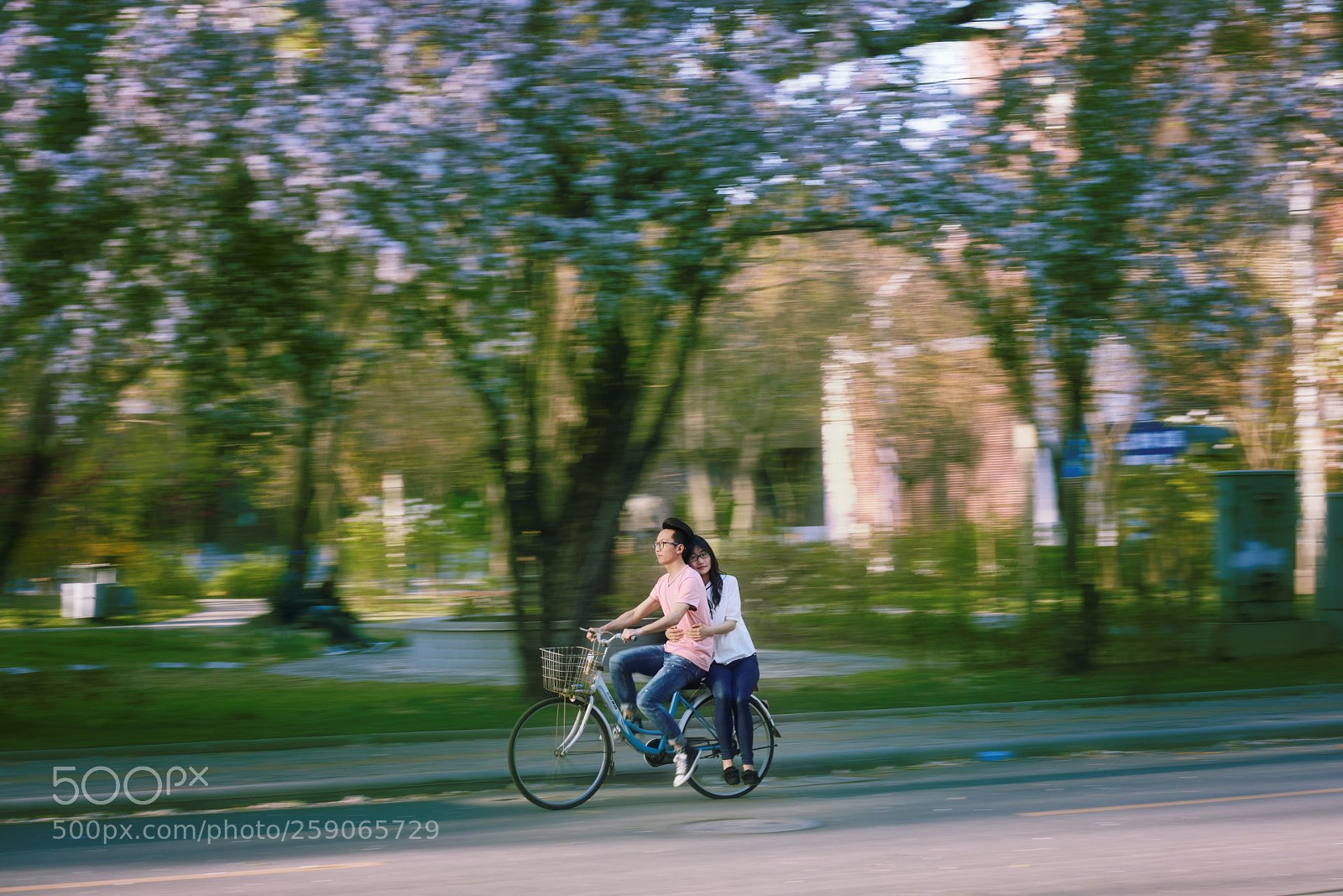 Nikon D800 sample photo. Bicycle lover photography