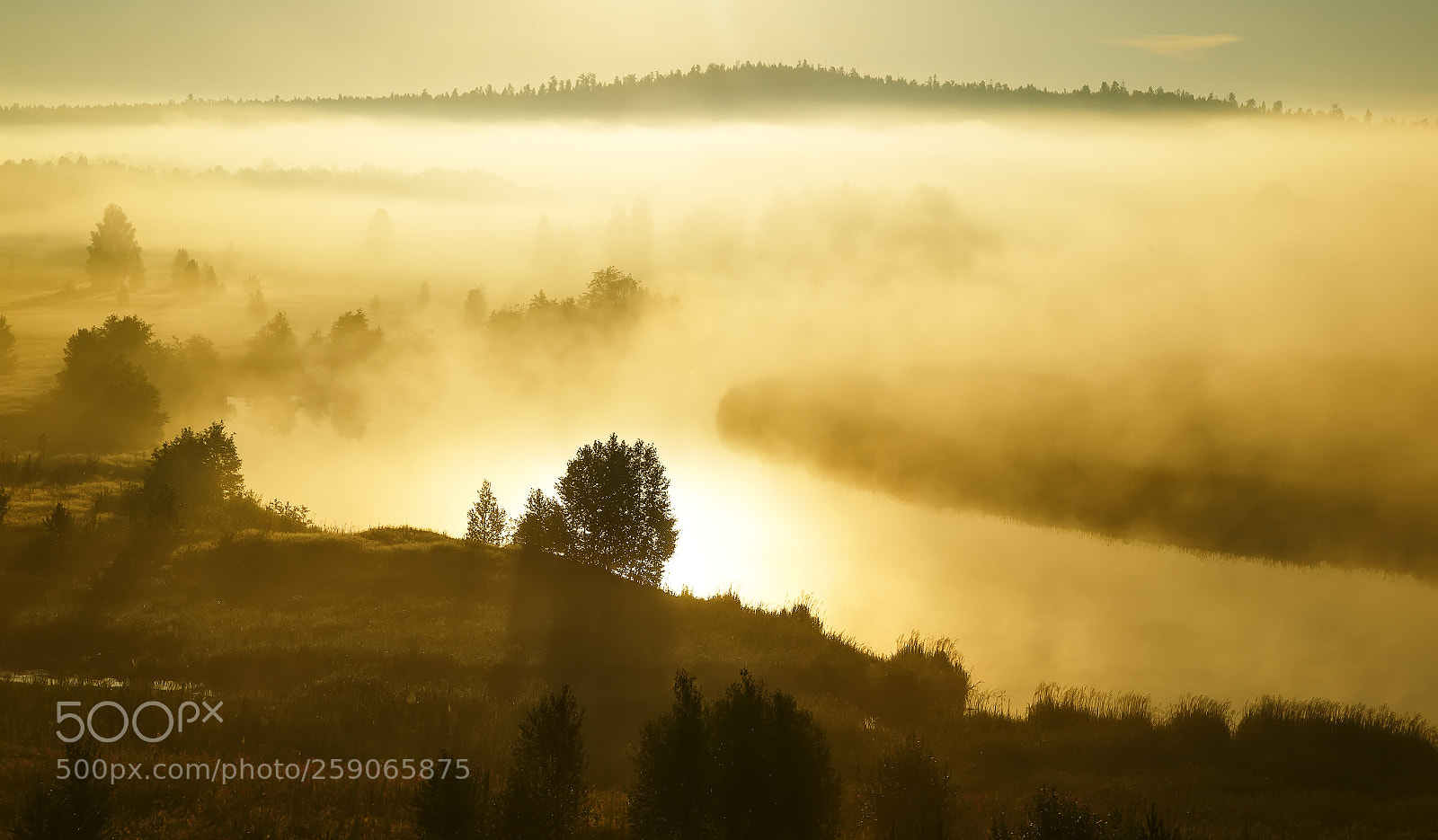 Canon EOS 6D sample photo. Foggy morning sunny landscape photography