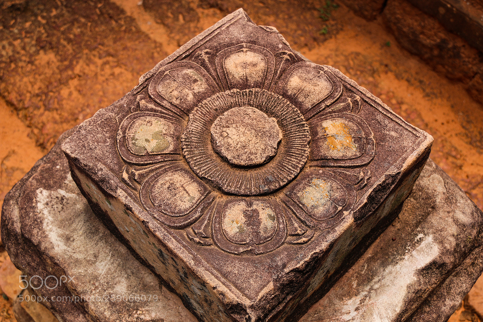 Canon EOS 70D sample photo. Stone flower photography