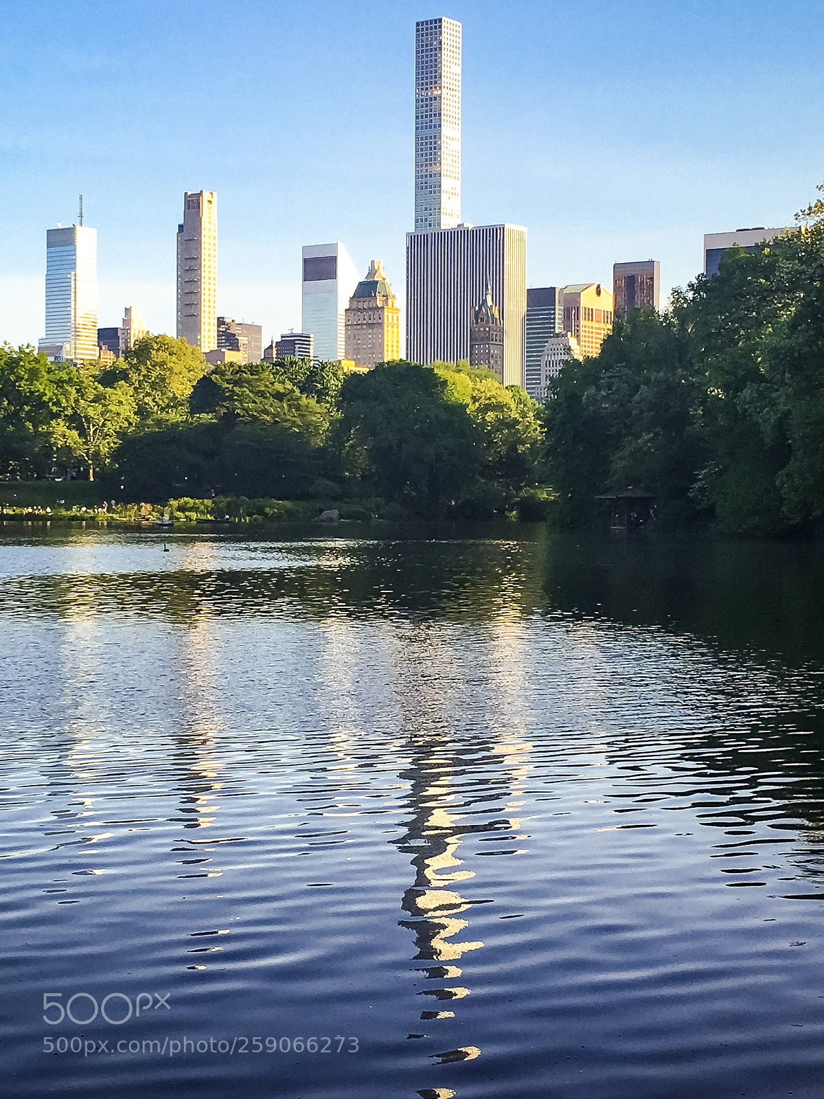 Apple iPhone 6s Plus sample photo. Central park photography
