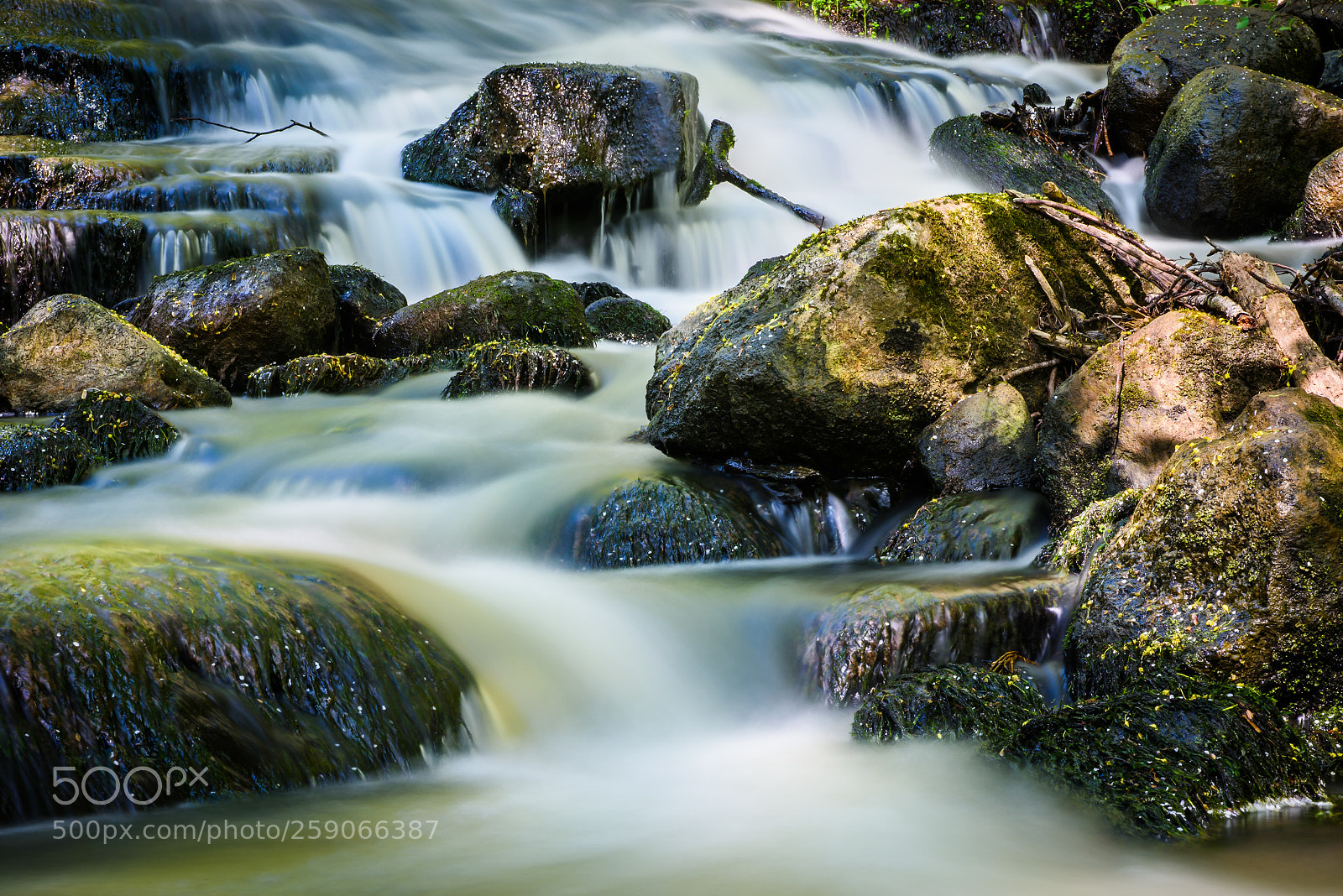 Nikon D810 sample photo. Zen revisited photography