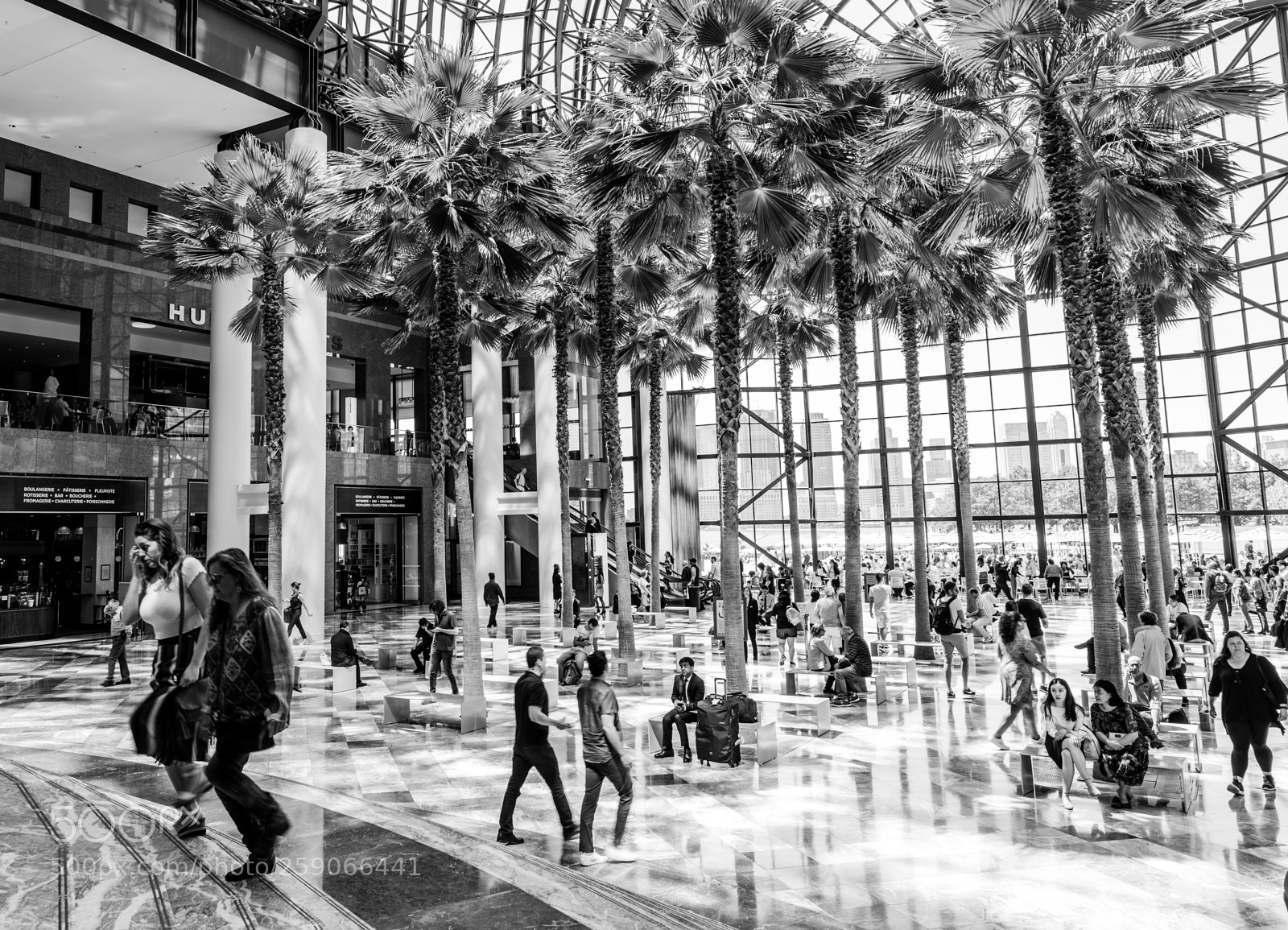 Sony a7R III sample photo. Shine and shadow photography