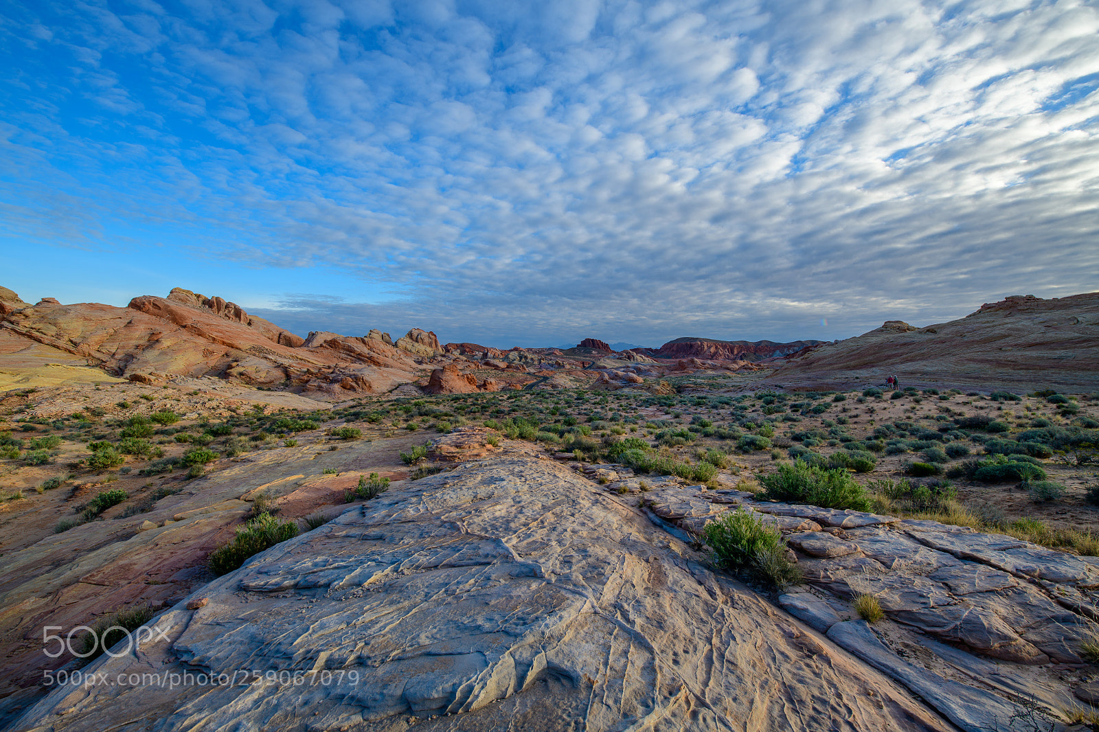 Nikon D850 sample photo. Valley of fire nevada photography