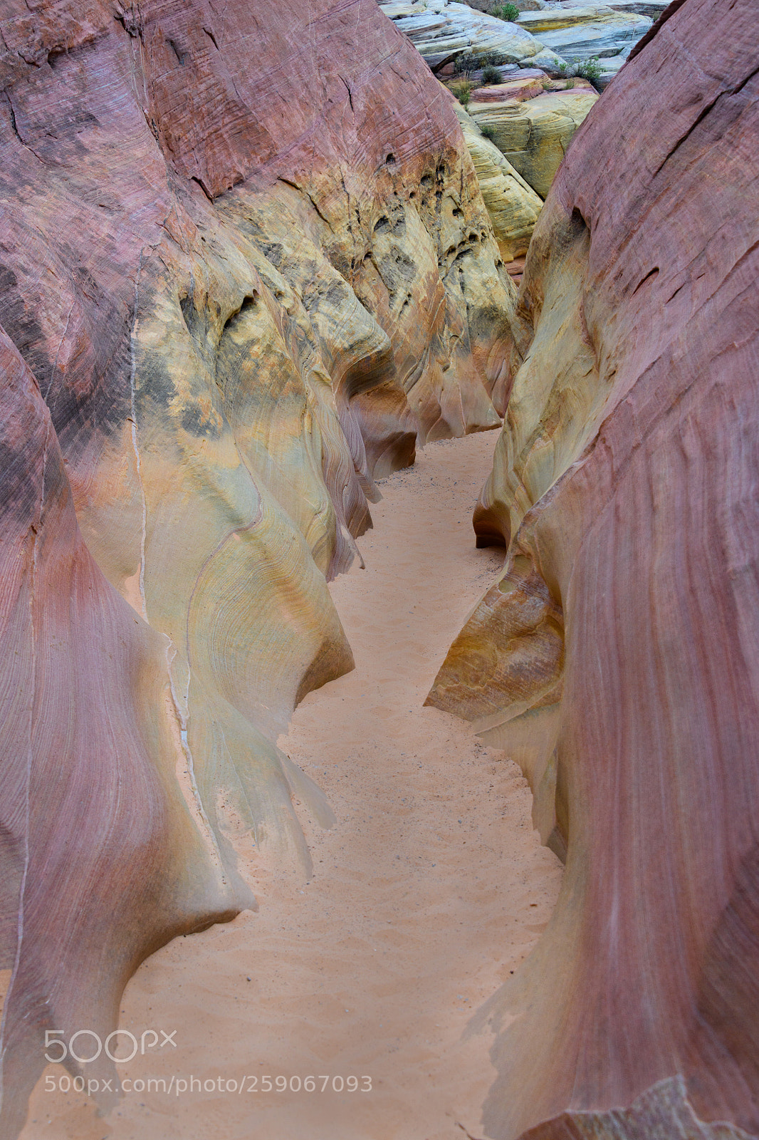 Nikon D850 sample photo. Fire wave canyon- valley photography