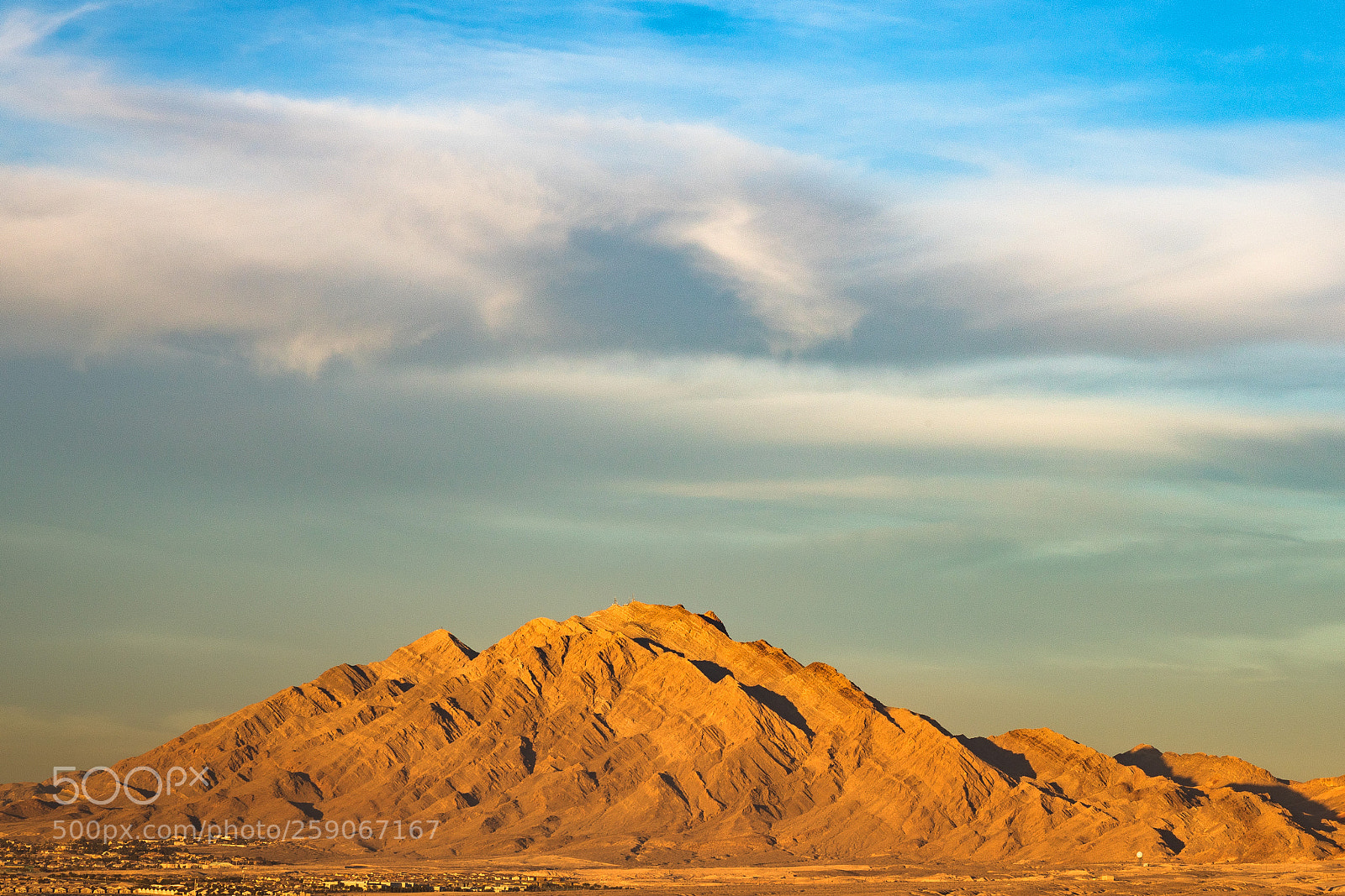 Canon EOS 5D Mark IV sample photo. Golden glow photography
