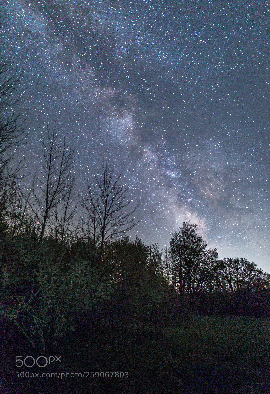 Canon EOS 6D sample photo. Milky way in spring photography