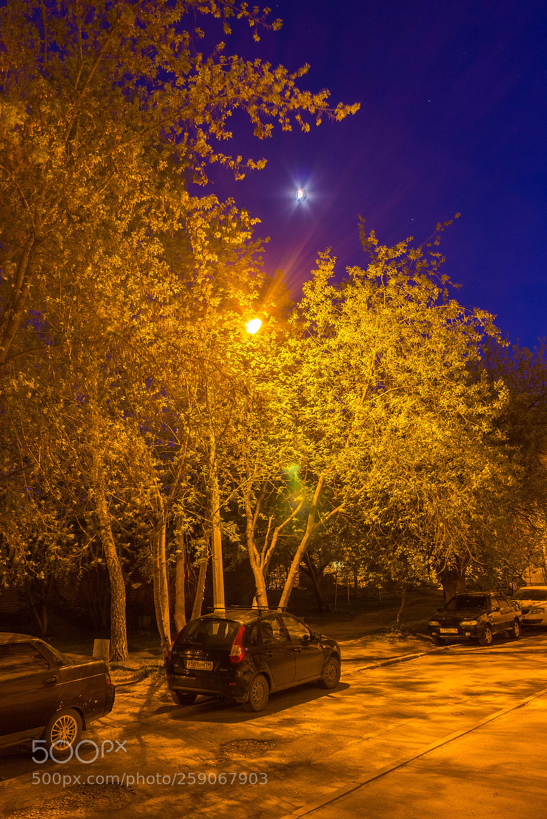 Canon EOS 600D (Rebel EOS T3i / EOS Kiss X5) sample photo. When all falls asleep photography