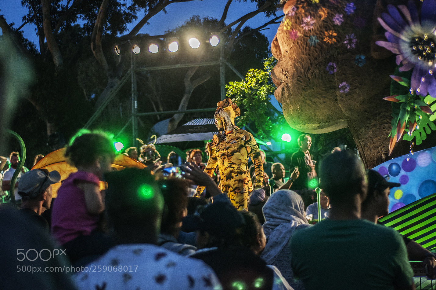 Nikon D90 sample photo. Cape town carnival photography