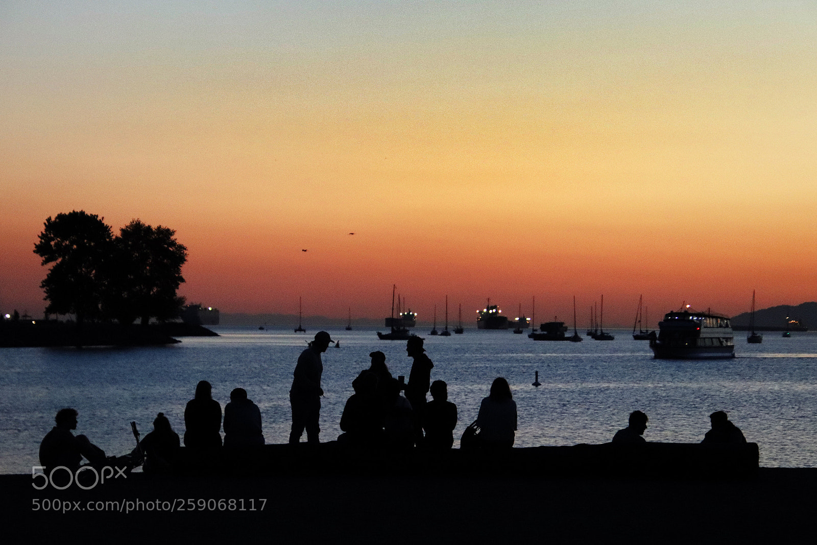 Canon EOS 800D (EOS Rebel T7i / EOS Kiss X9i) sample photo. Bonding time at sunset photography