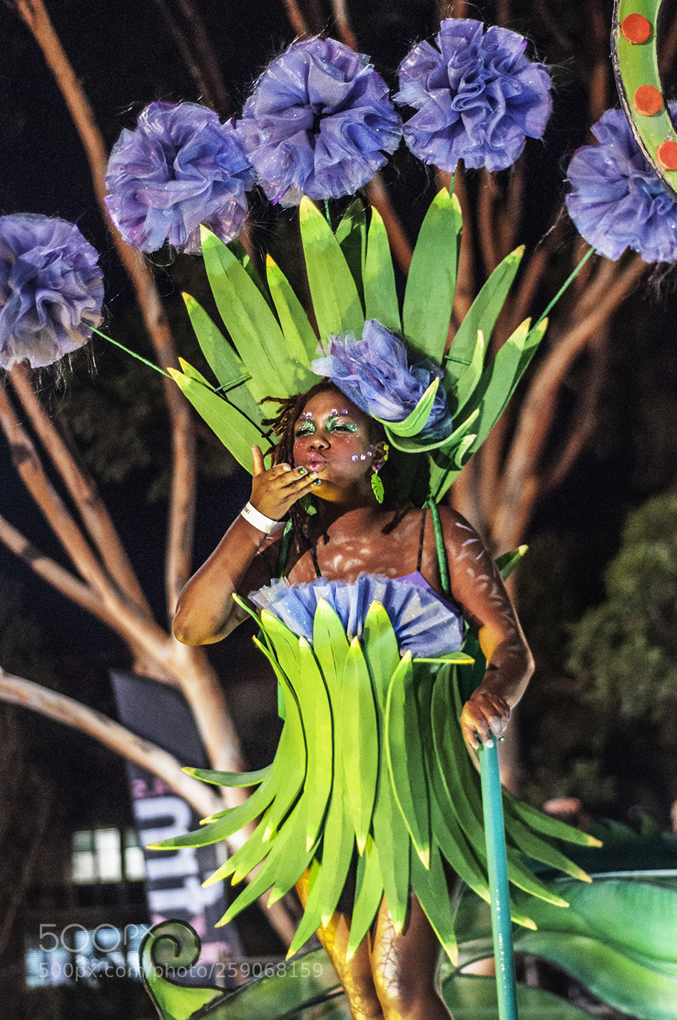 Nikon D90 sample photo. Cape town carnival photography