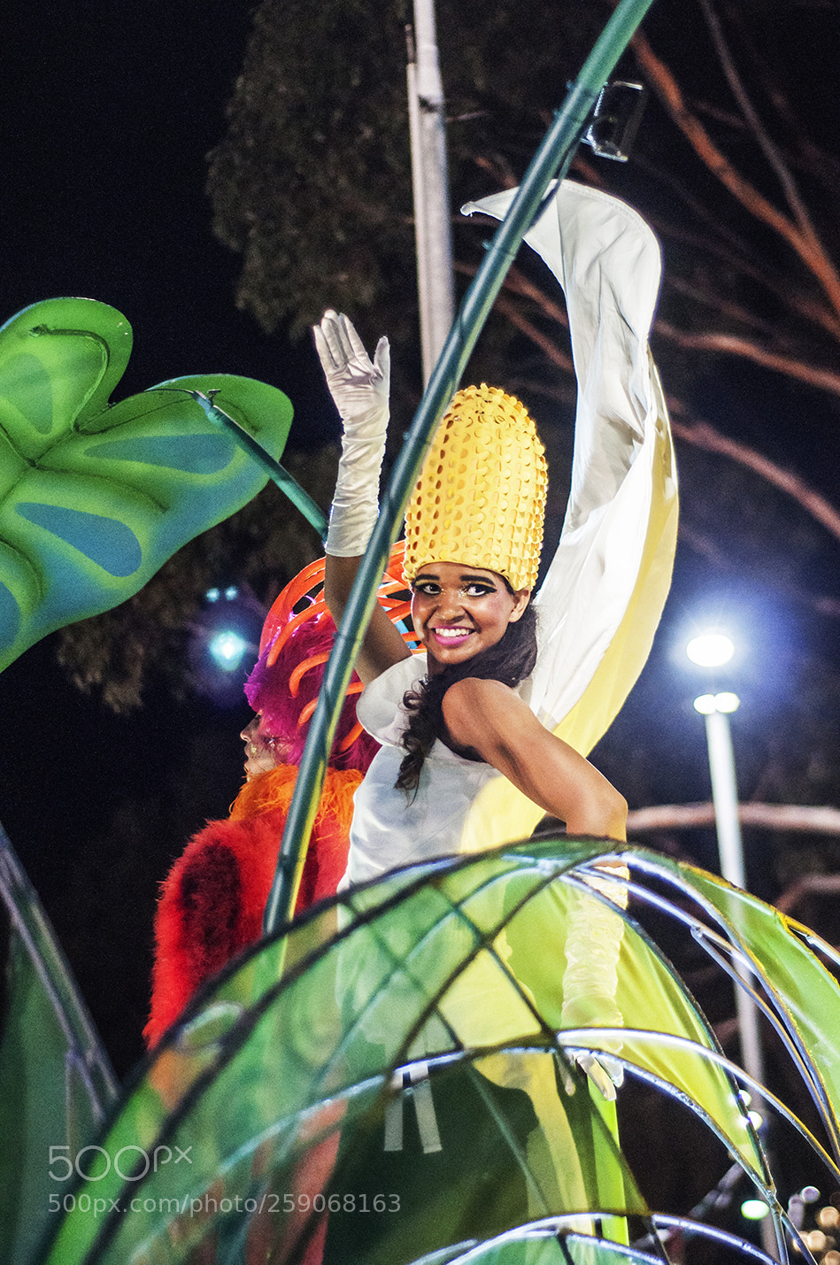Nikon D90 sample photo. Cape town carnival photography