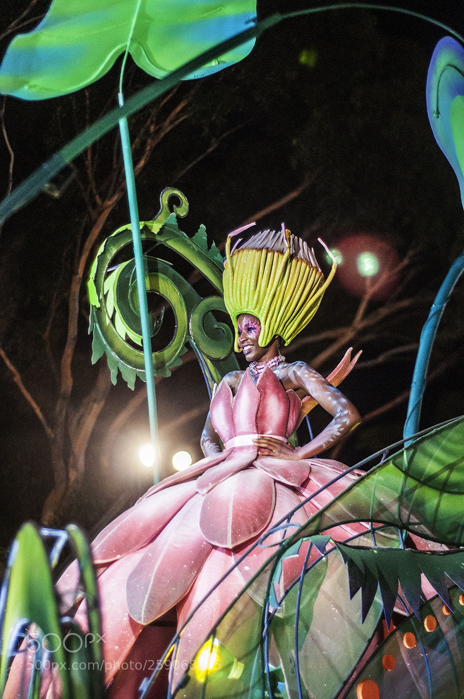 Nikon D90 sample photo. Cape town carnival photography