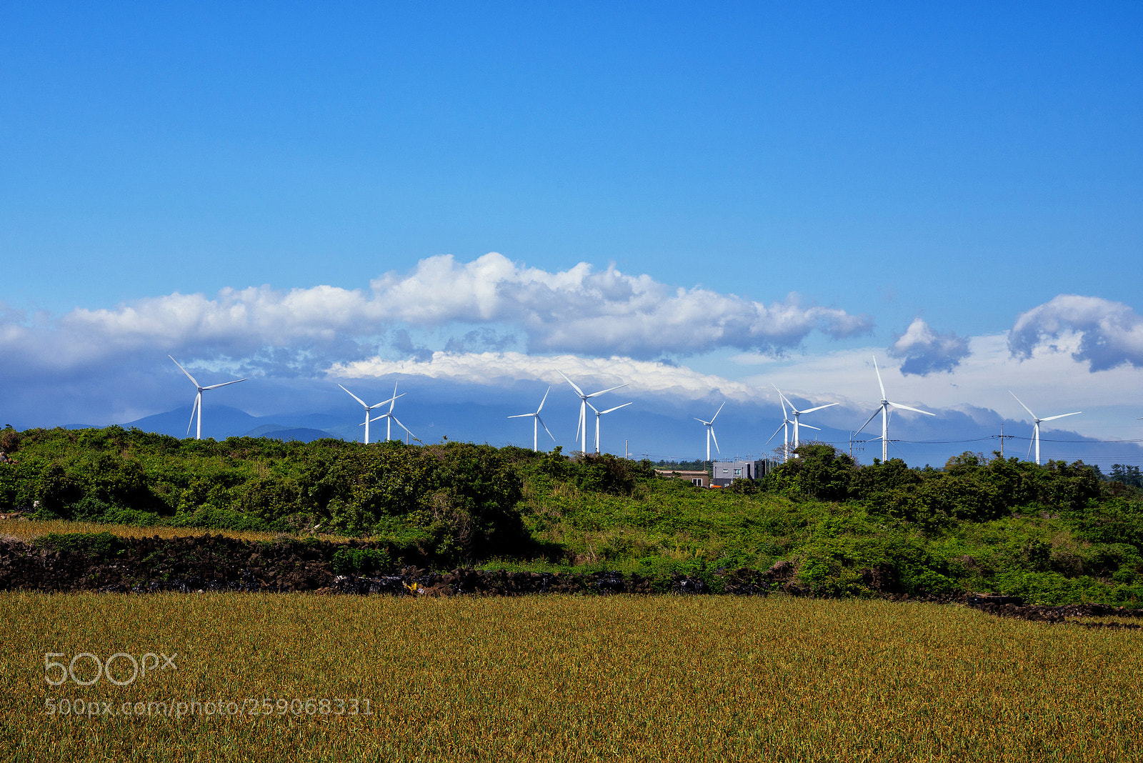 Nikon D810 sample photo. Clouds on the mountains photography