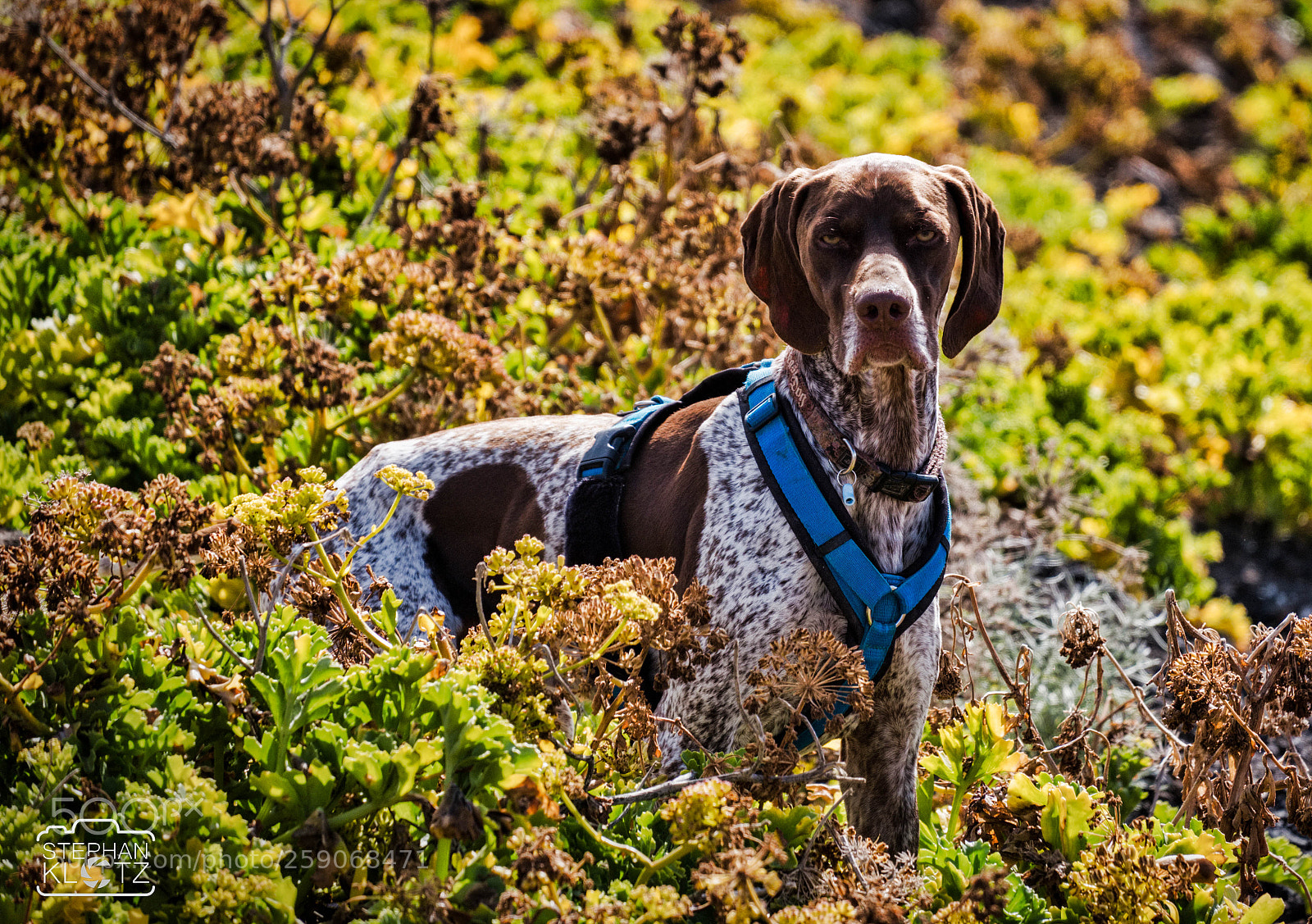 Fujifilm X-E3 sample photo. La palma photography