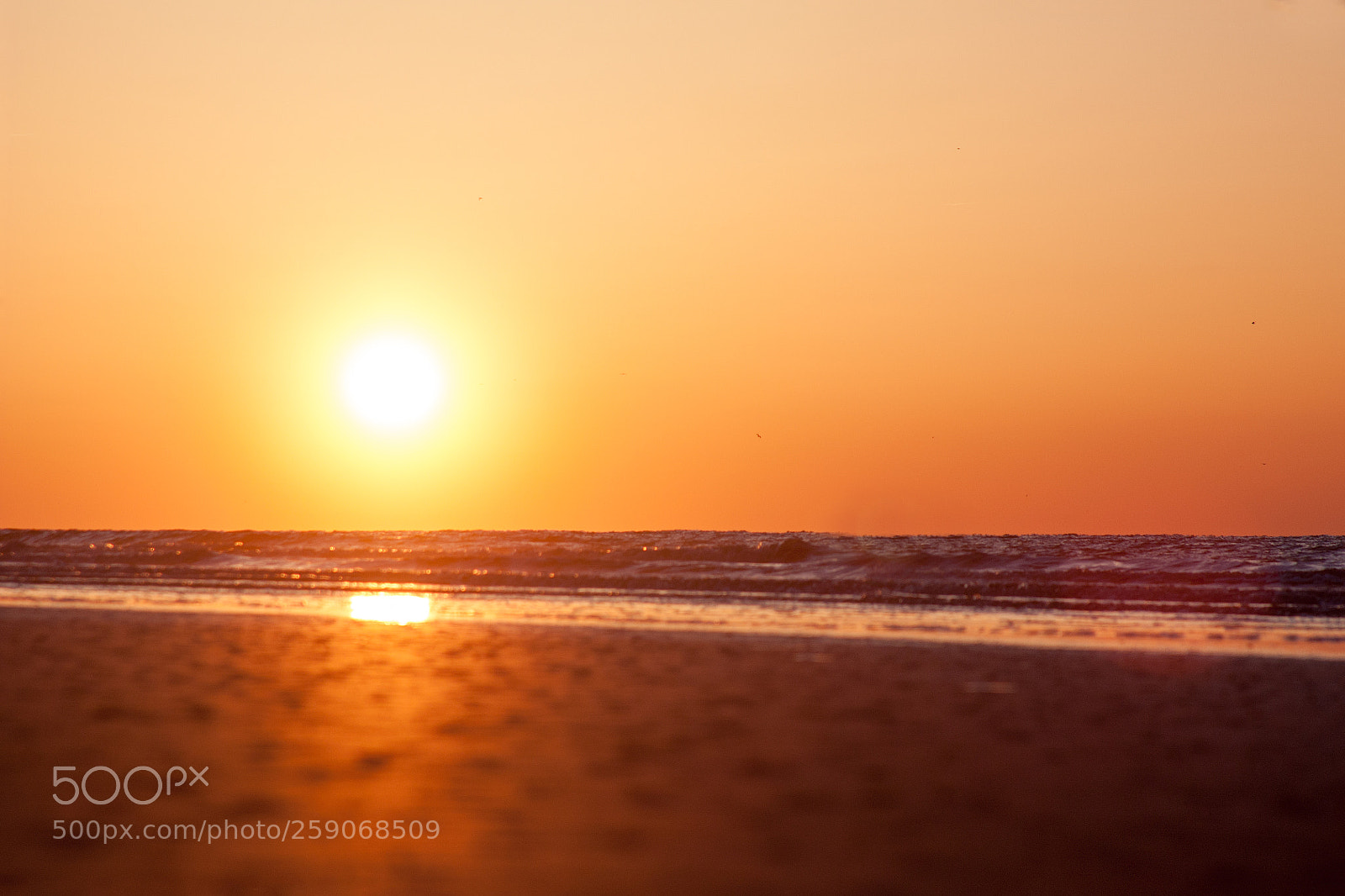 Canon EOS 450D (EOS Rebel XSi / EOS Kiss X2) sample photo. Beach sunrise photography