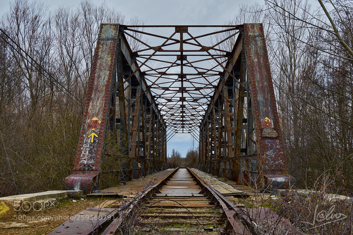 Nikon D5100 sample photo. Iron bridge photography
