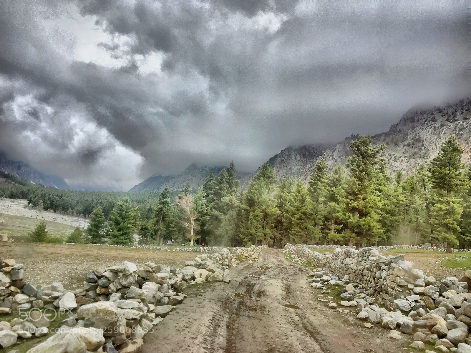 Apple iPhone 6s sample photo. Naltar valley, pakistan photography