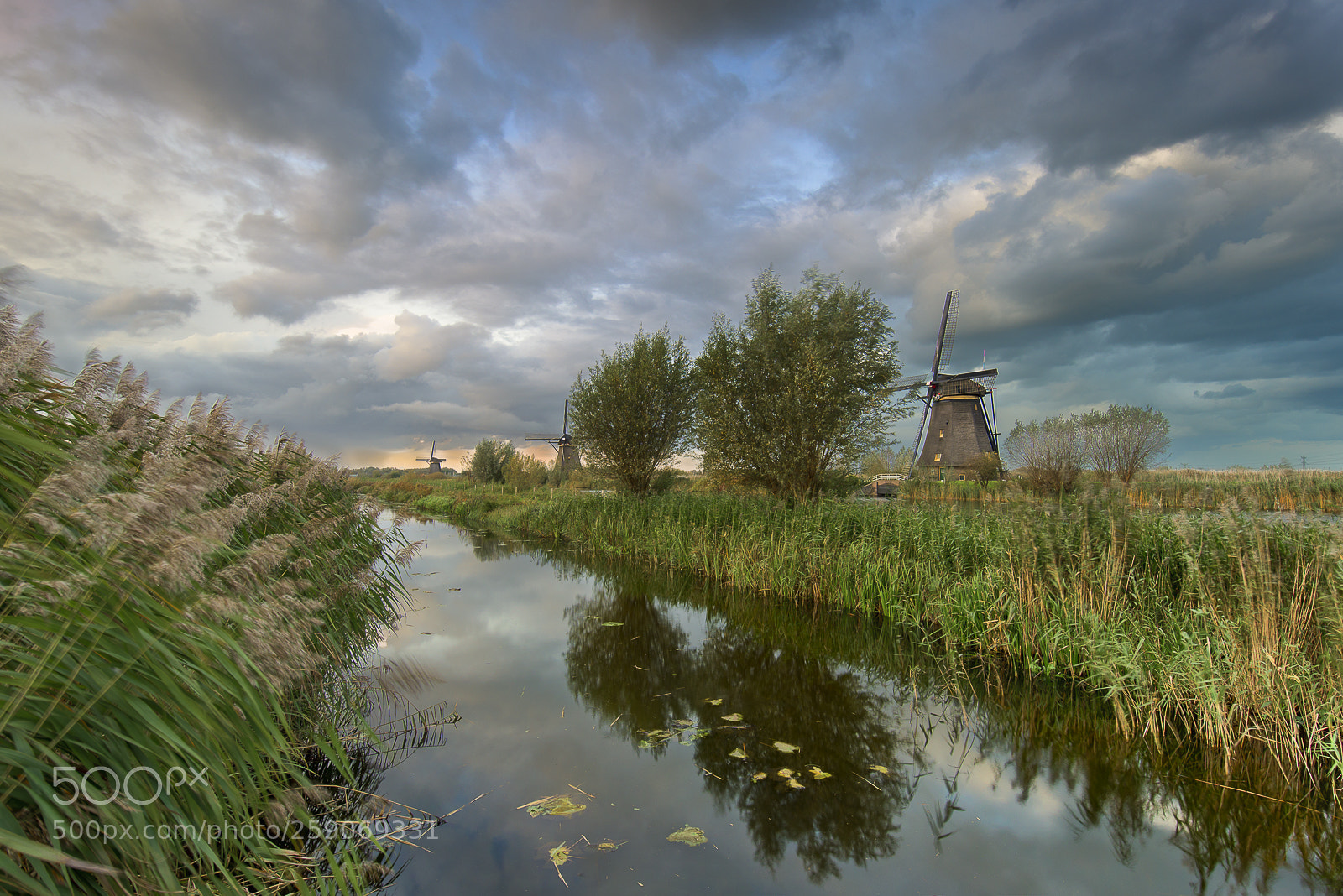 Nikon D610 sample photo. Cloudy today photography