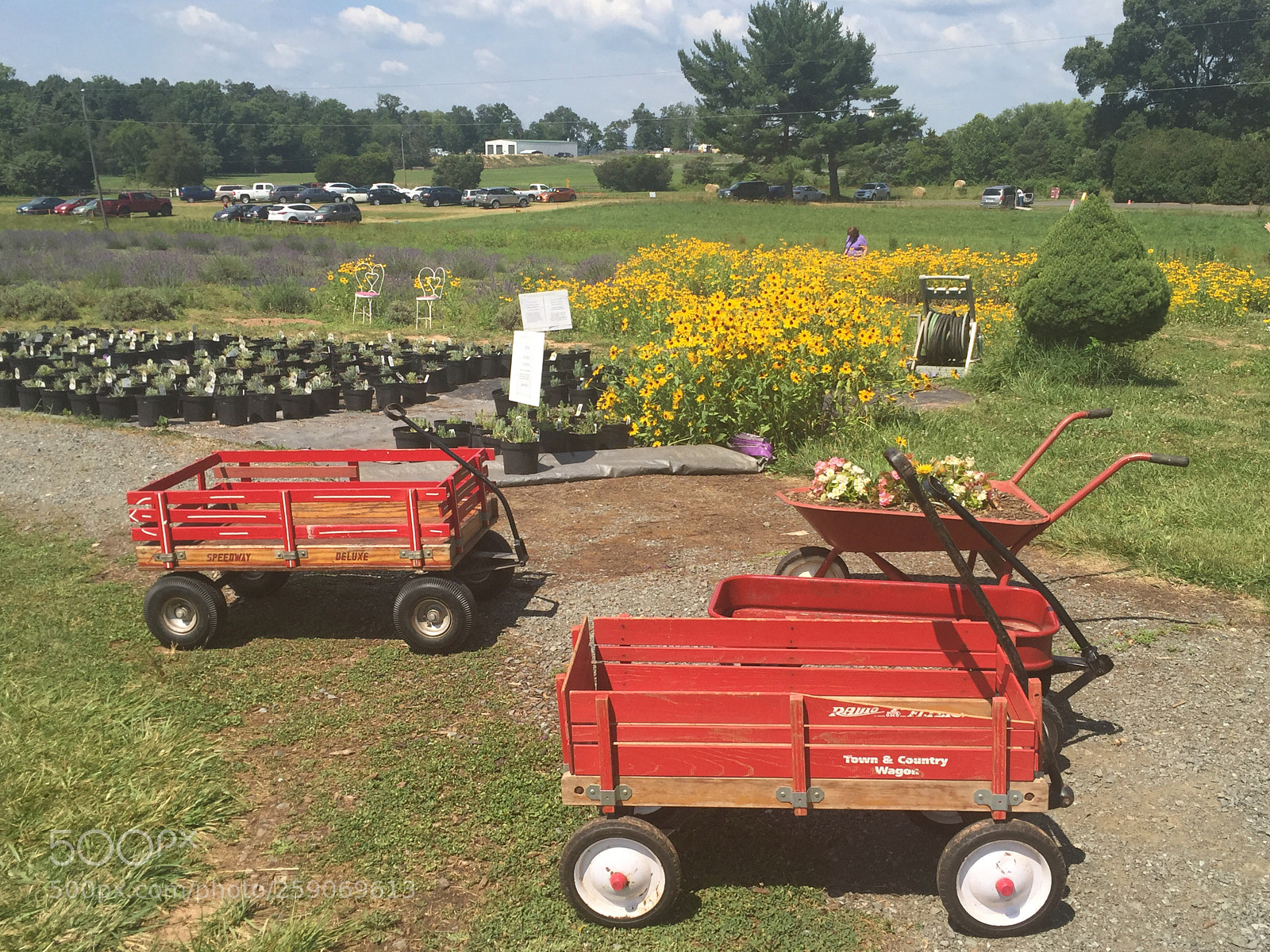 Apple iPhone 6 sample photo. Little red wagons photography