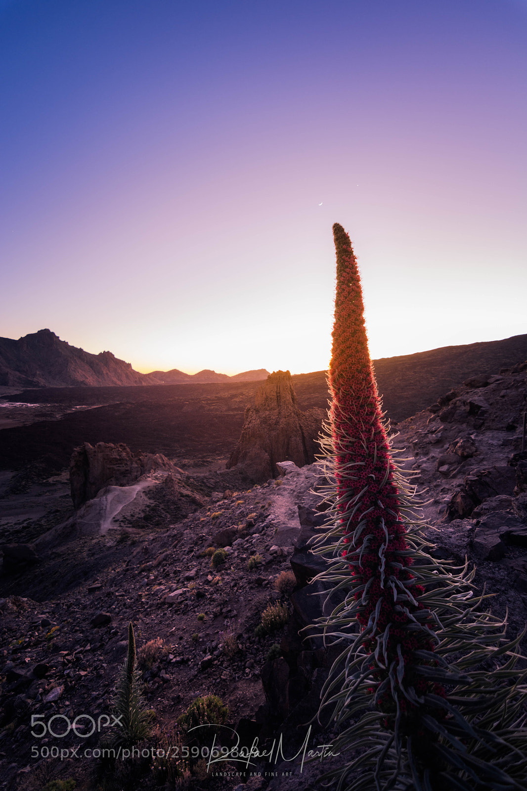 Nikon D7100 sample photo. Last light photography