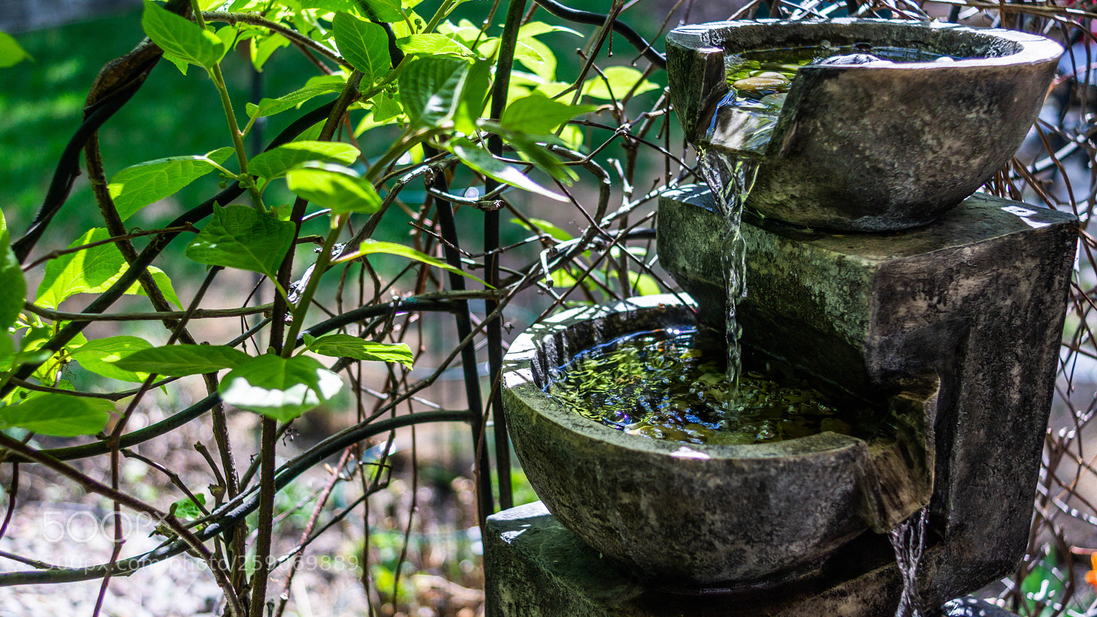 Sony a6000 sample photo. Water fountain backyard feature photography