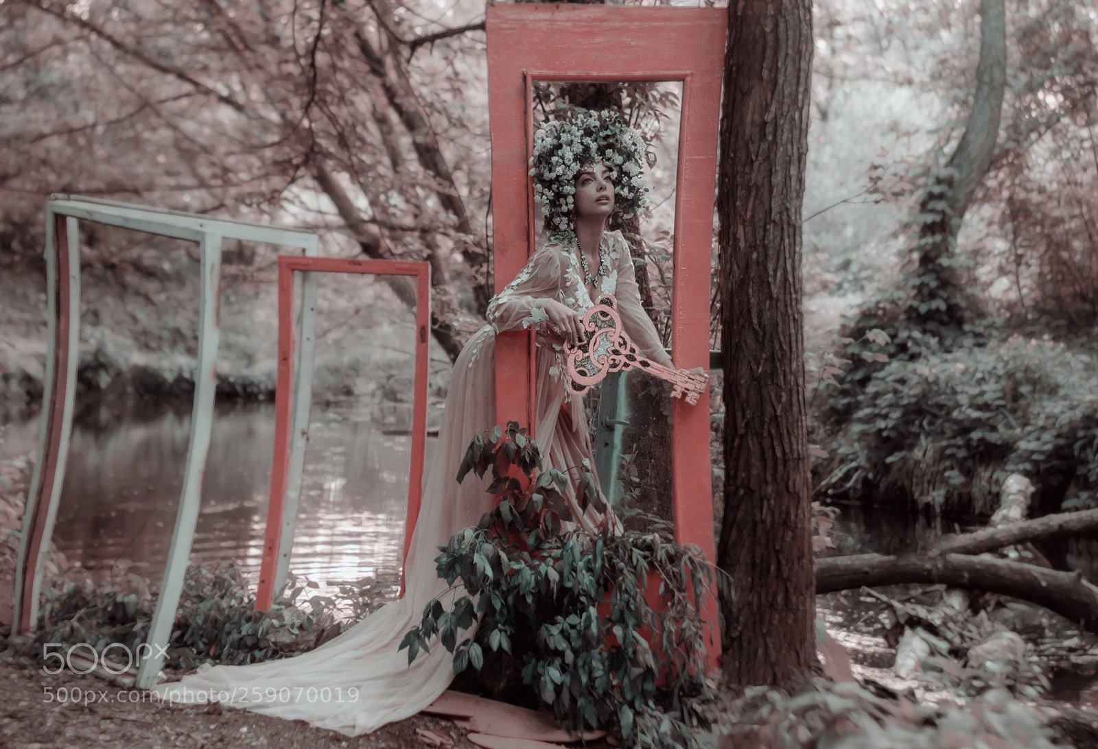 Canon EOS 550D (EOS Rebel T2i / EOS Kiss X4) sample photo. Dreams photography