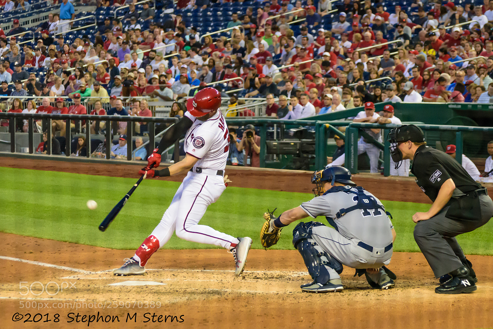 Nikon D810 sample photo. Homerun!! photography