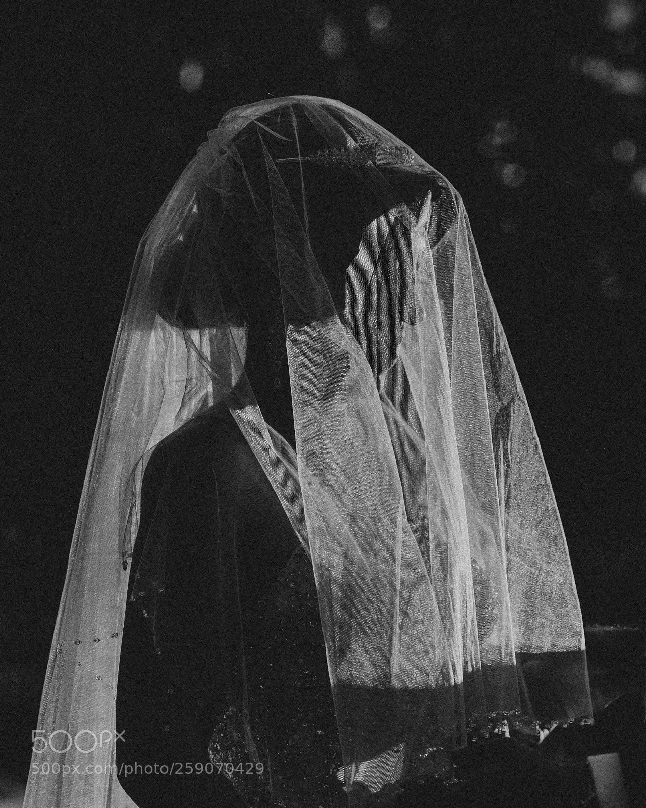 Nikon D700 sample photo. Bride photography