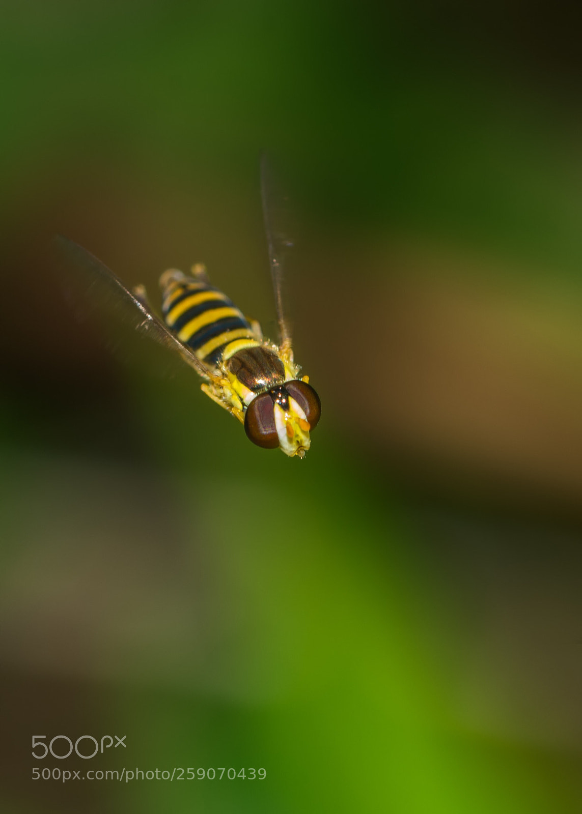 Nikon D7200 sample photo. On a mission photography
