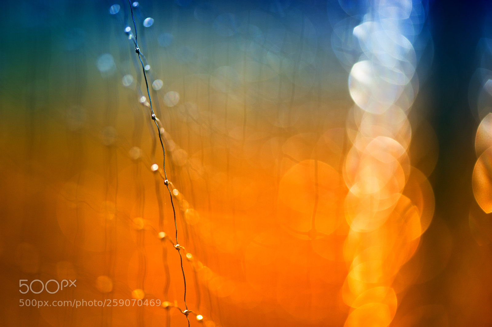 Nikon D700 sample photo. The light between us photography