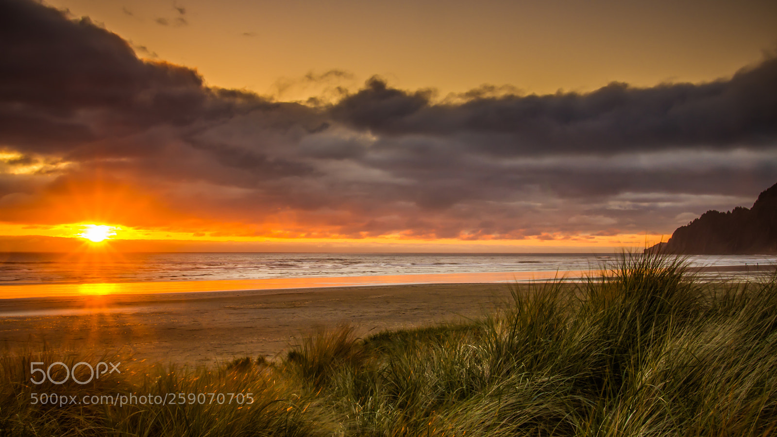 Nikon D7000 sample photo. Sunrays over manzanita photography