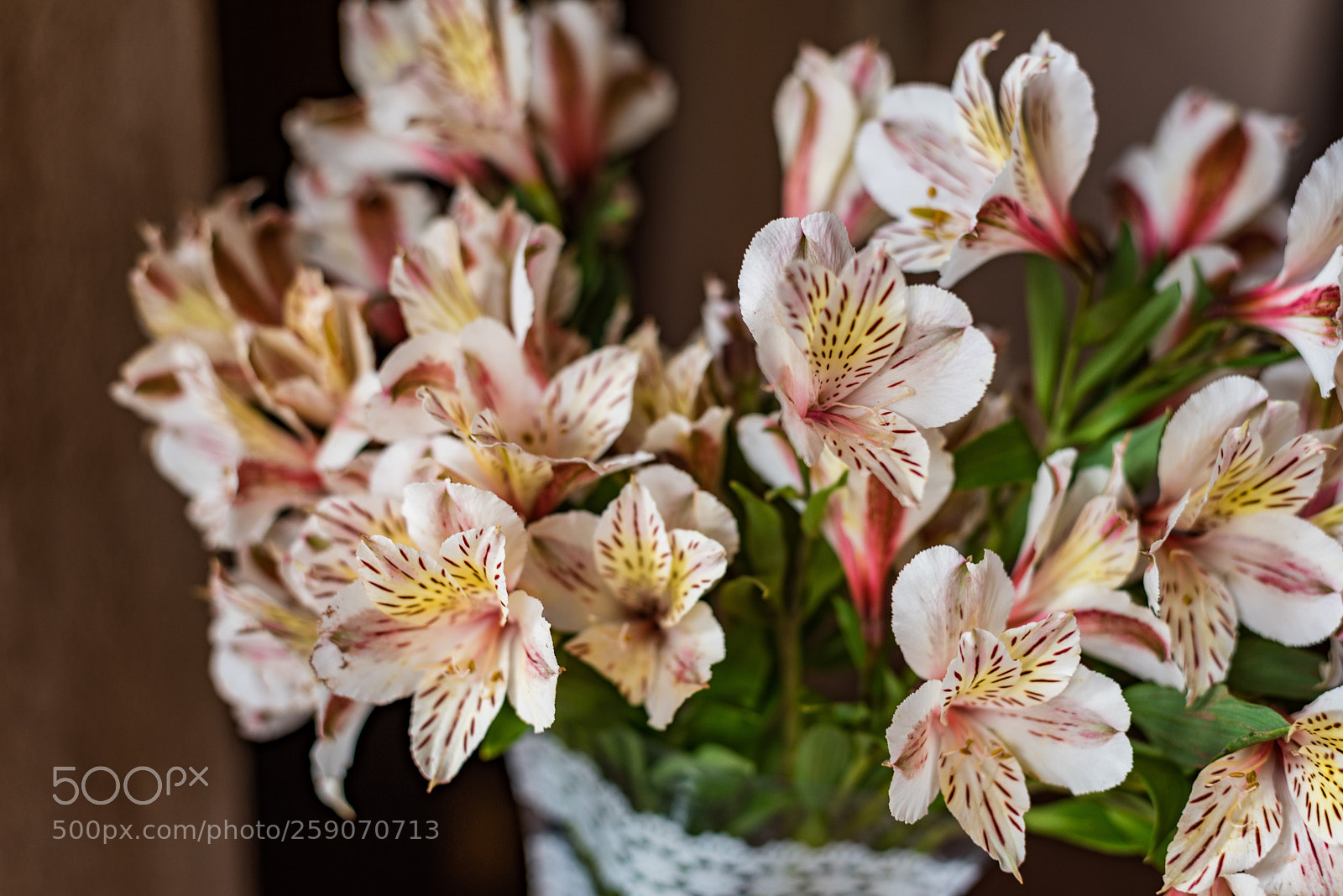 Nikon D750 sample photo. Airbnb flowers photography