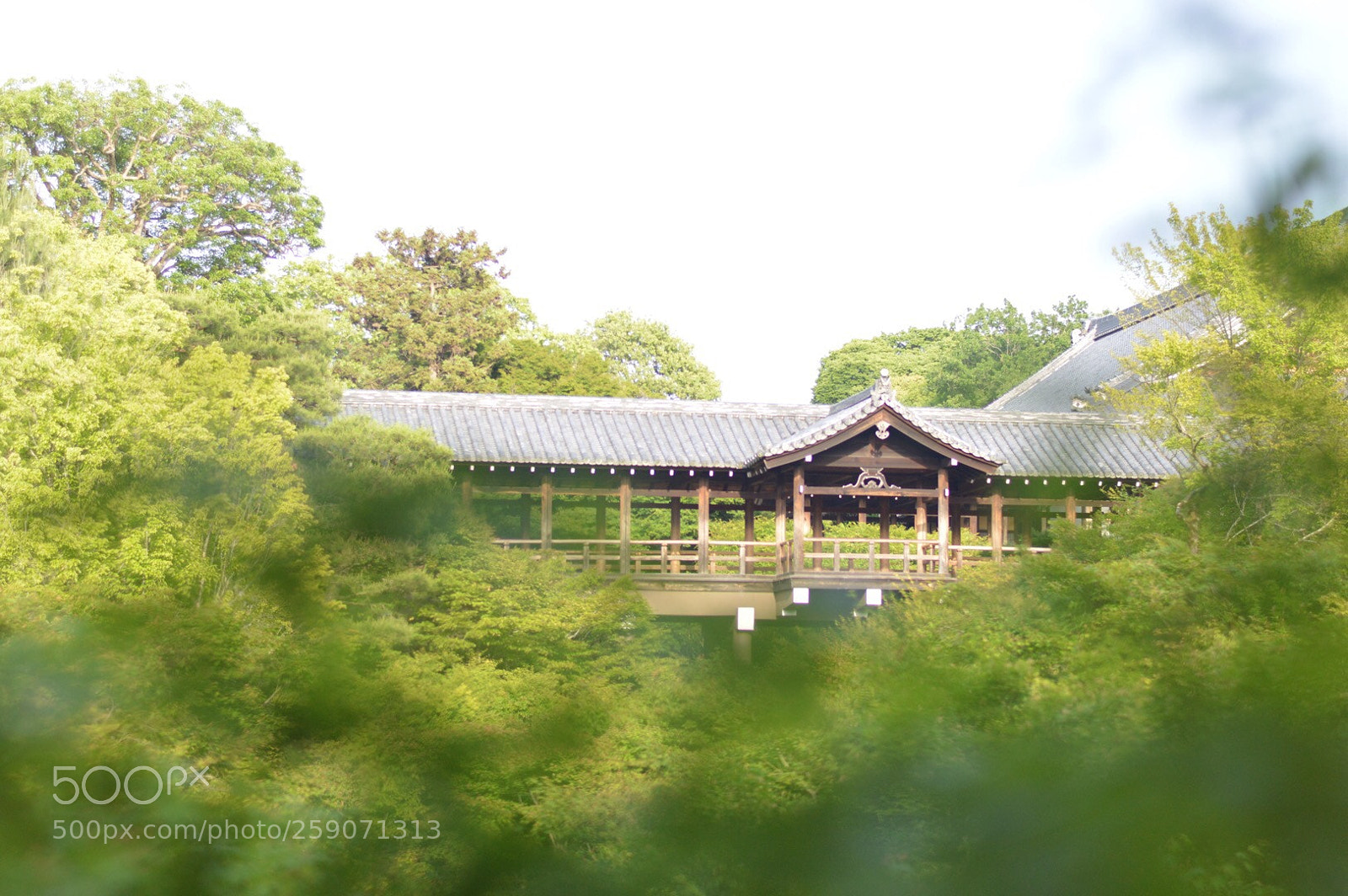 Nikon D3200 sample photo. 京都  東福寺 photography