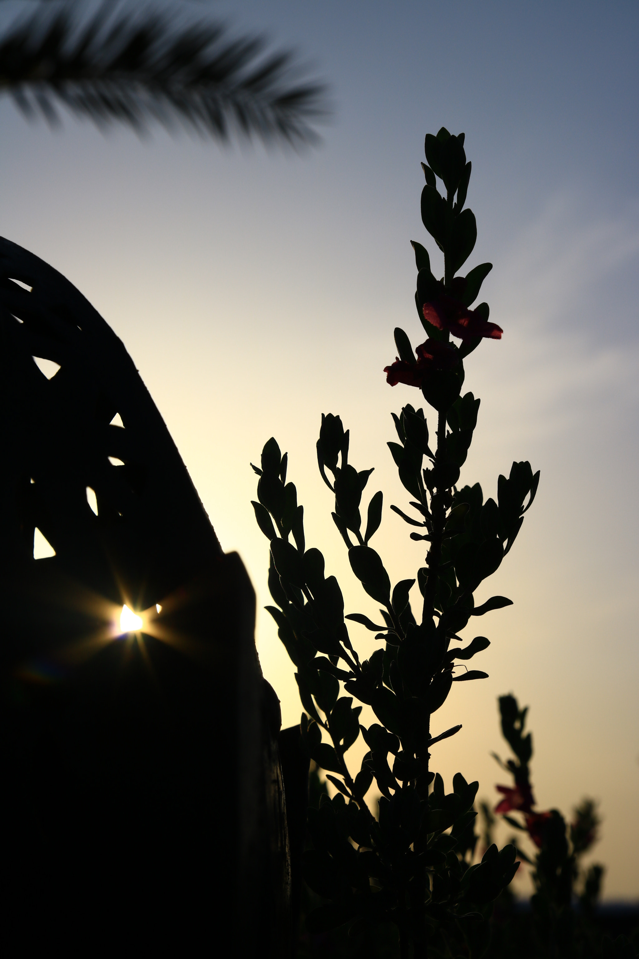 Tamron SP AF 17-50mm F2.8 XR Di II LD Aspherical (IF) sample photo. Yin & ... photography