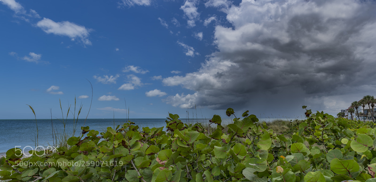 Pentax K-1 sample photo. Summer storm panoramic photography