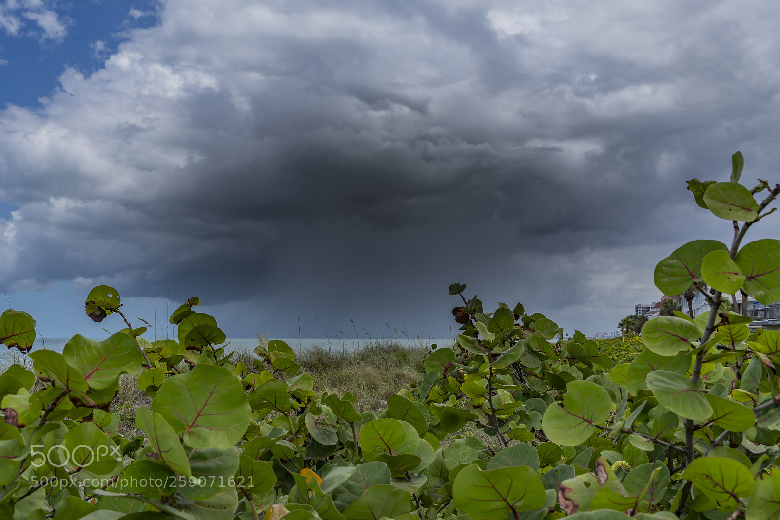 Pentax K-1 sample photo. Summer storm photography