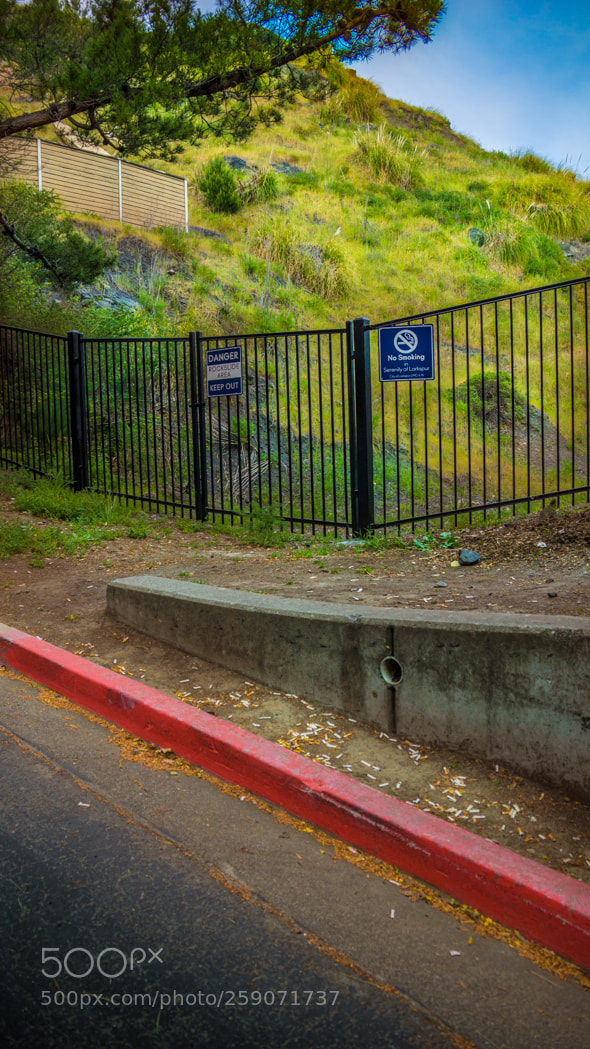 Sony SLT-A65 (SLT-A65V) sample photo. No smoking serenity larkspur photography